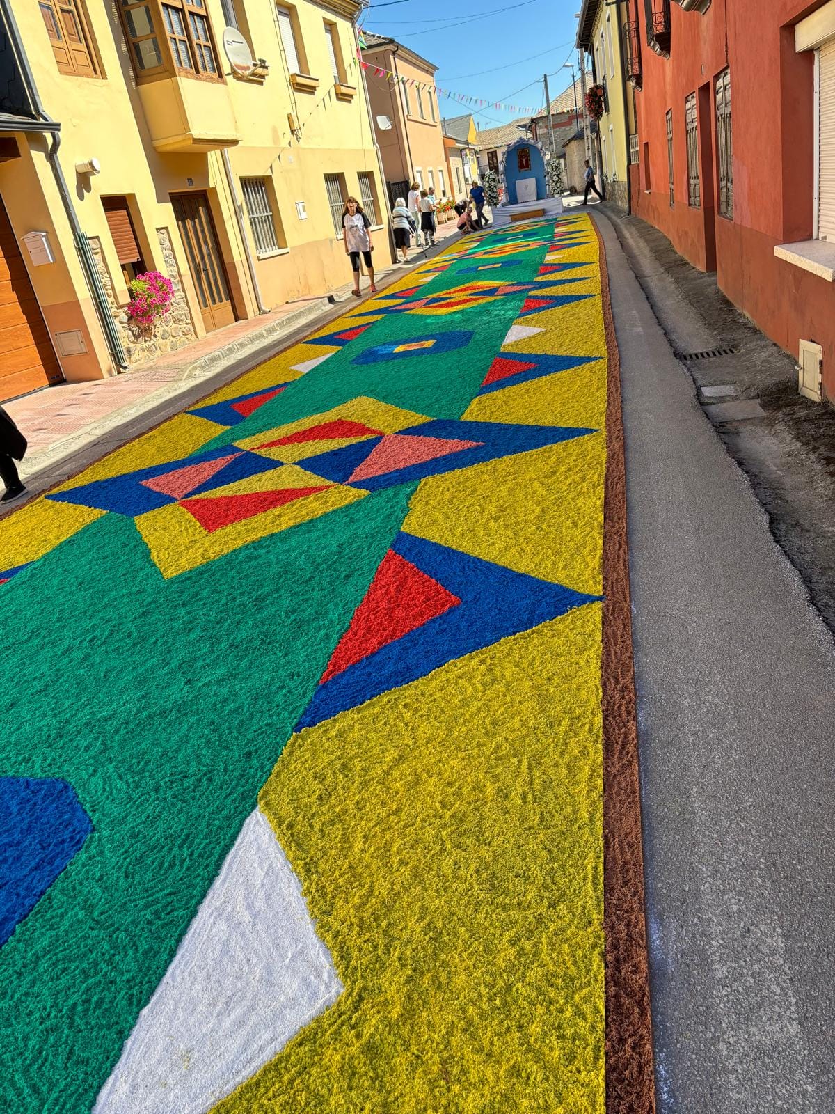 La alfombra floral que han creado los vecinos de Villadepalos para celebrar La Magdalena 2024 4