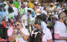 imagen de fiesta holi