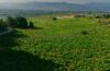 Vista de Villadecanes y Bierzo bajo