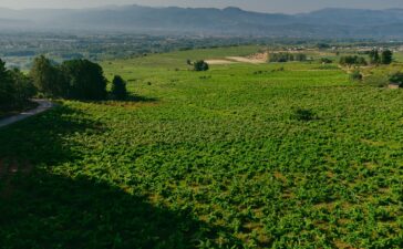 Vista de Villadecanes y Bierzo bajo