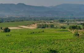 Vista de Villadecanes y Bierzo bajo