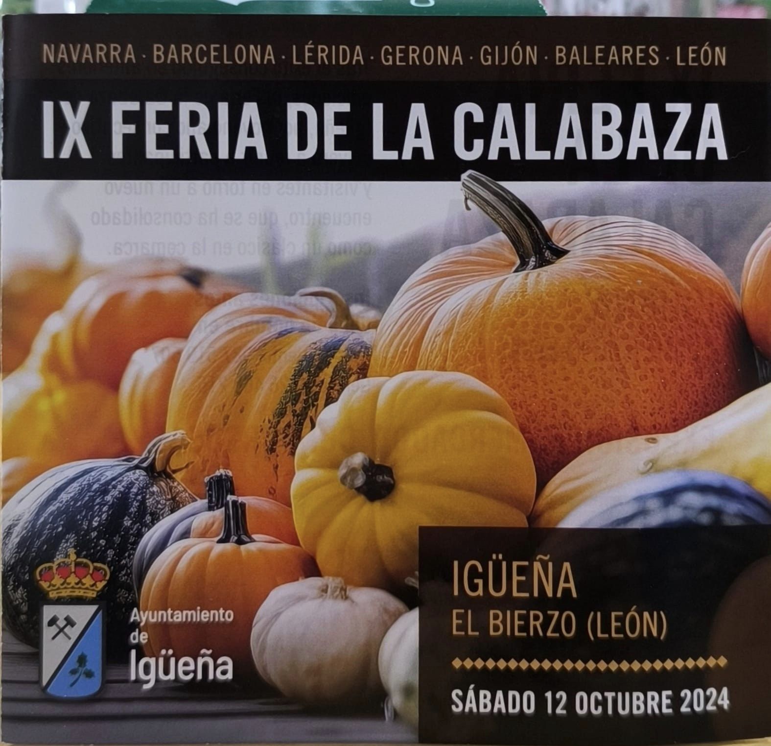 La Feria de la Calabaza en Igüeña llega a su novena edición con la participación de calabazas de toda España 3