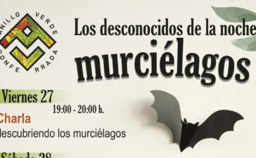 El Anillo verde de Ponferrada organiza charlas este fin de semana sobre los fascinantes murciélagos 2