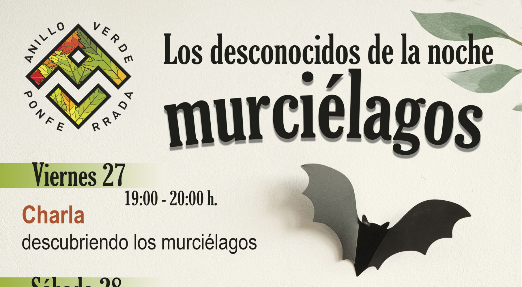 El Anillo verde de Ponferrada organiza charlas este fin de semana sobre los fascinantes murciélagos 1