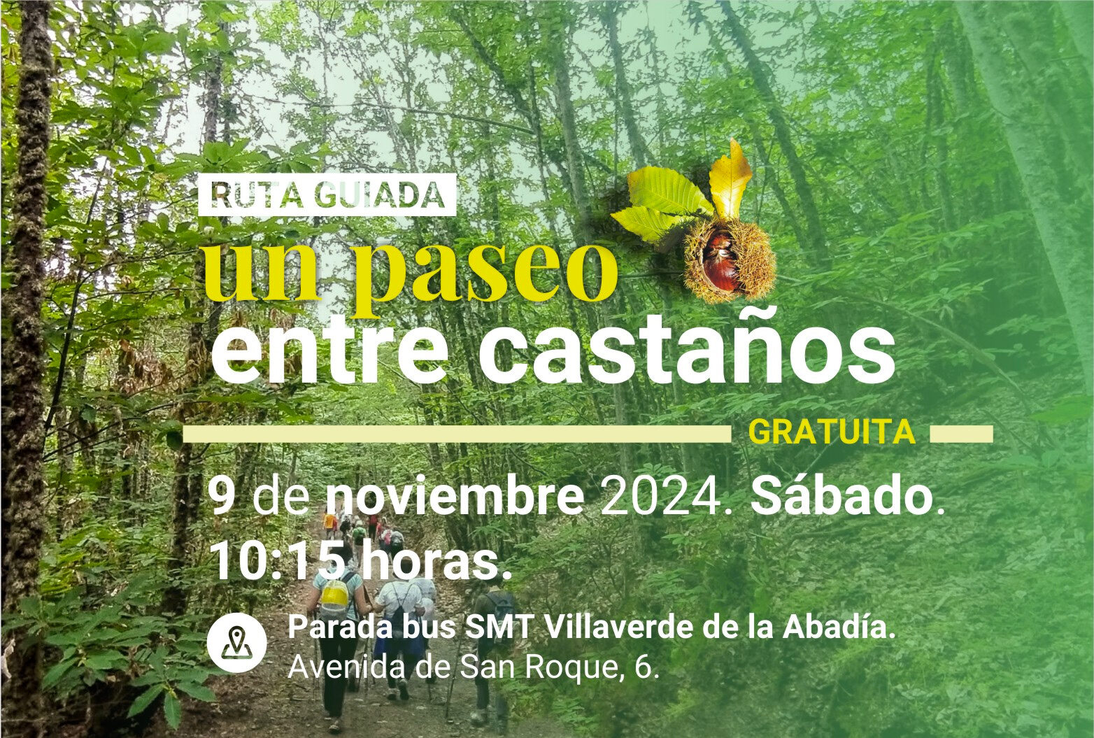 Un Paseo entre castaños por las Barrancas de Santalla para el sábado 9 de noviembre 1