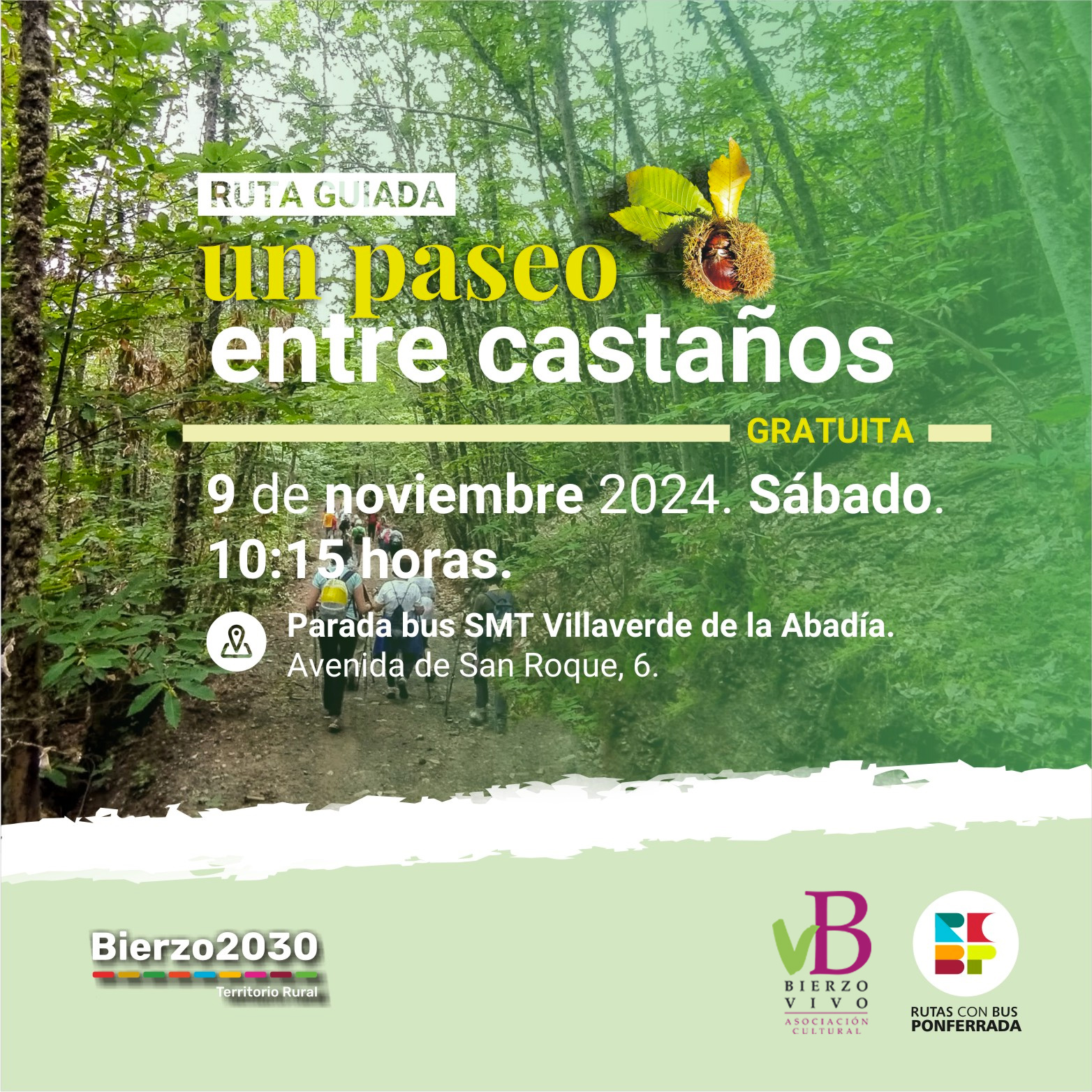 Un Paseo entre castaños por las Barrancas de Santalla para el sábado 9 de noviembre 2