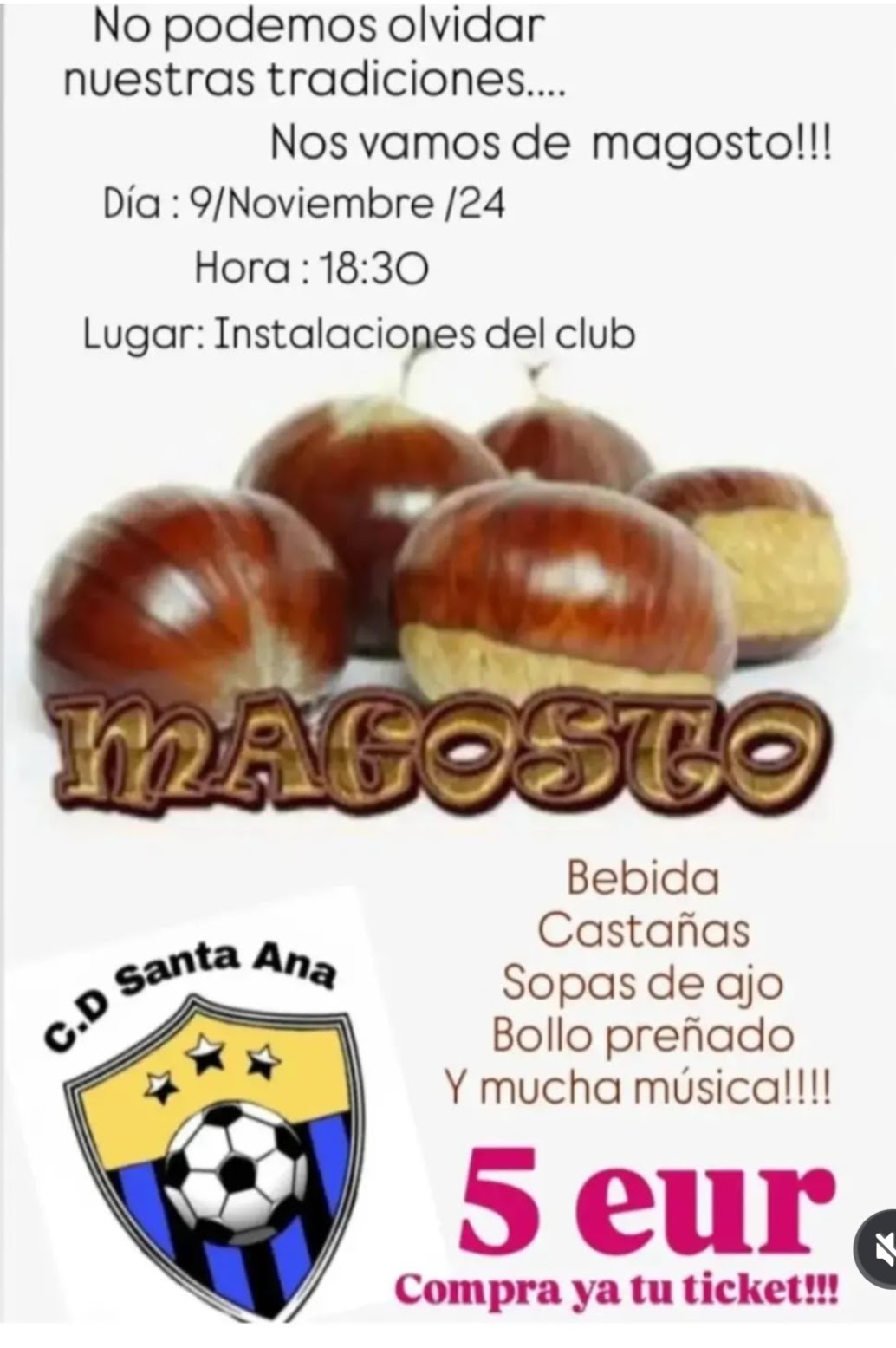 Magostos en el Bierzo 2024, una guía para disfrutar de la tradición de asar castañas 62