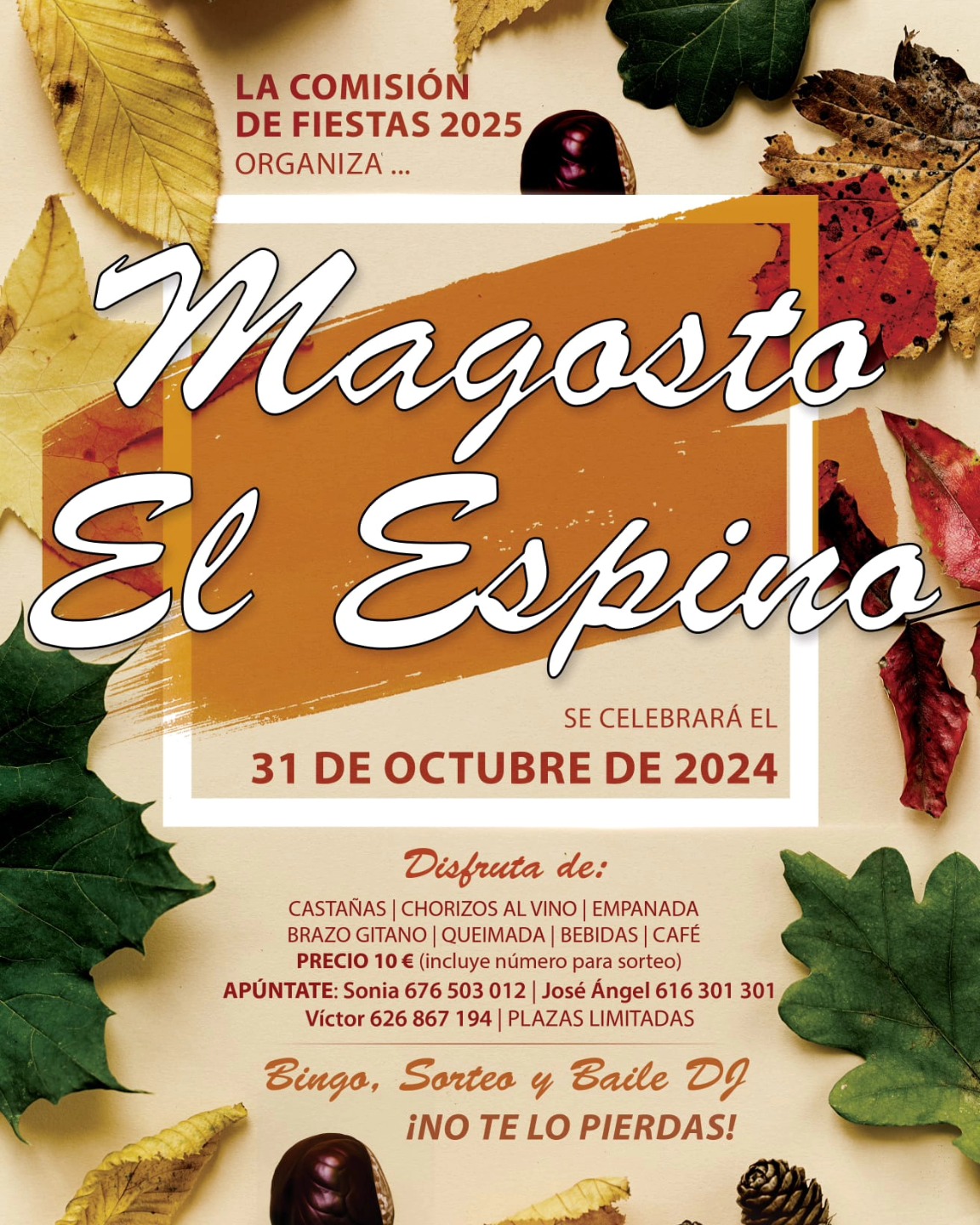 Magostos en el Bierzo 2024, una guía para disfrutar de la tradición de asar castañas 19