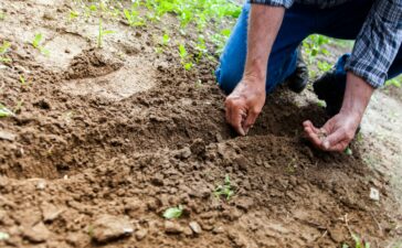 La Diputación de León destina 40.000 euros en ayudas para el análisis de tierras 9