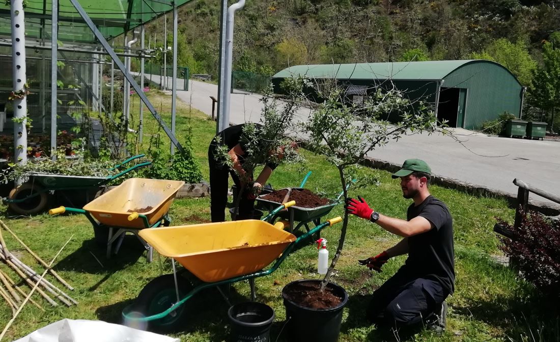 Abierta la convocatoria para participar en dos nuevos programas formativos en CIUDEN Vivero y La Térmica Cultural 1