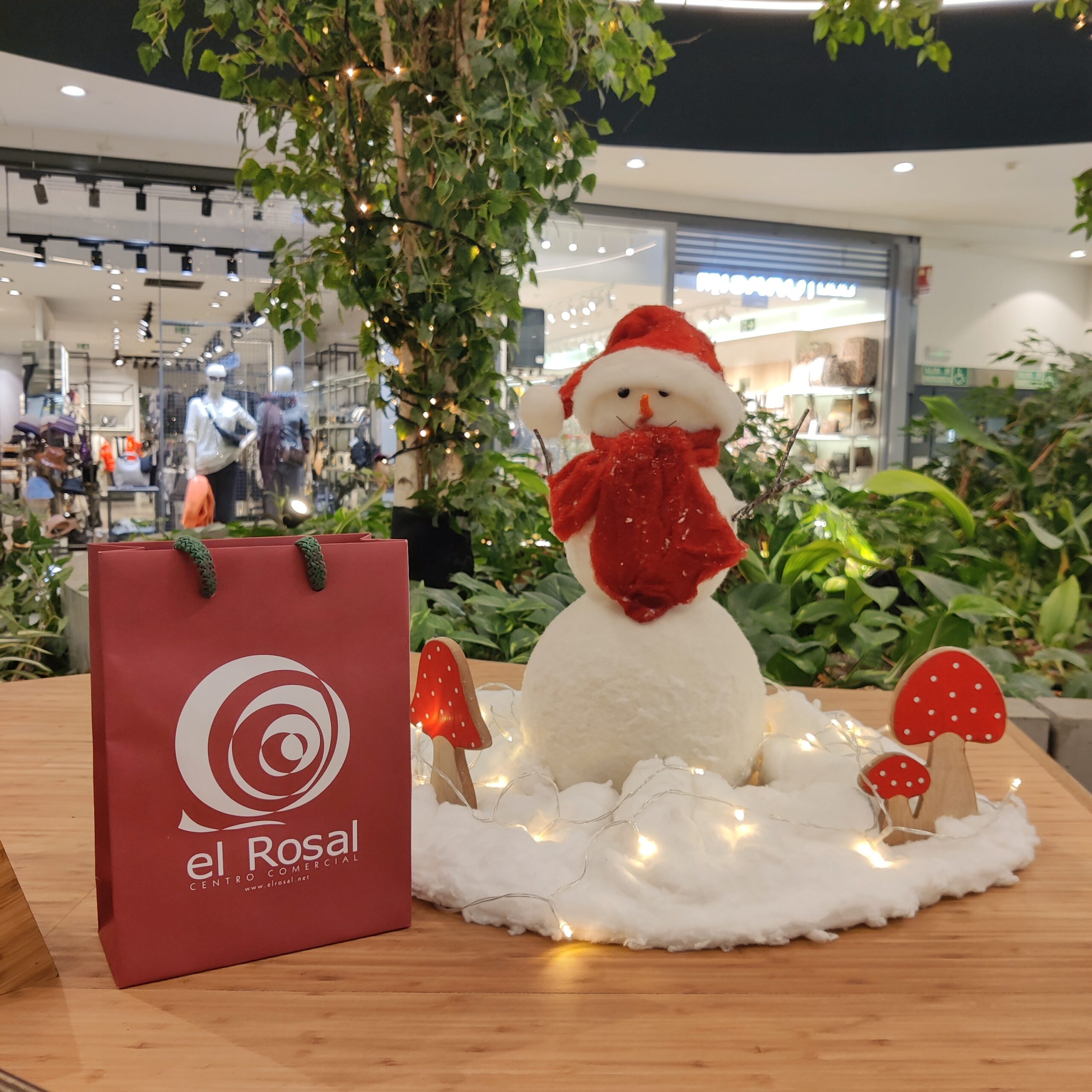 El Rosal repartirá estas navidades más de 10.000 € en premios, nos sorprenderá con “Papá Noel, el Musical de Navidad” y con más tradiciones y sorpresas 2