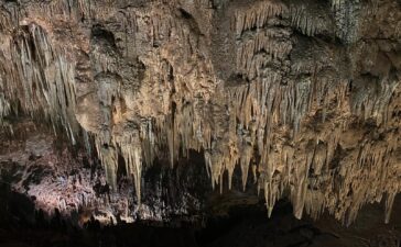 La Cueva de Valporquero aumenta un año más sus visitas con más de sesenta mil usuarios 2