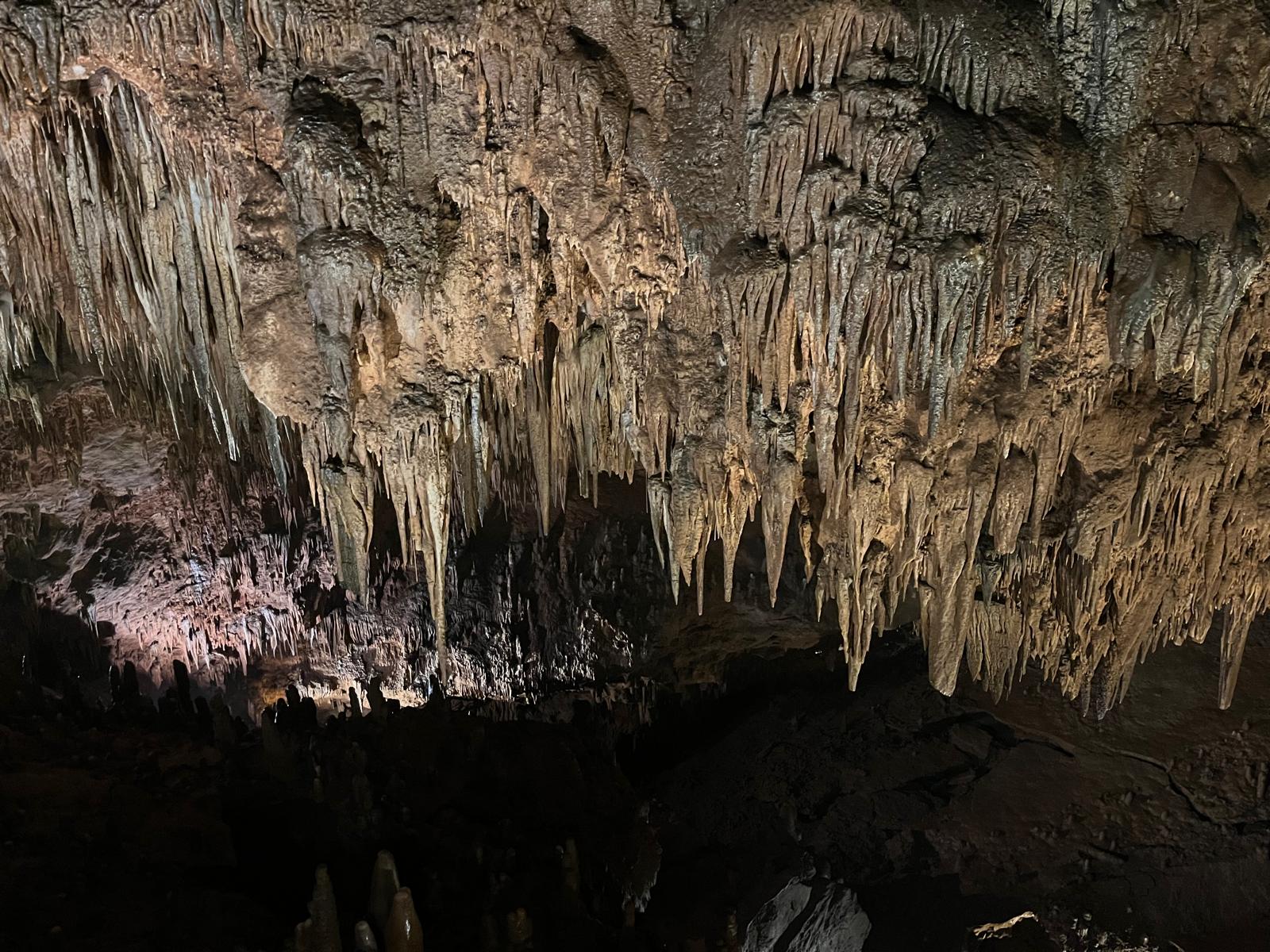 La Cueva de Valporquero aumenta un año más sus visitas con más de sesenta mil usuarios 1