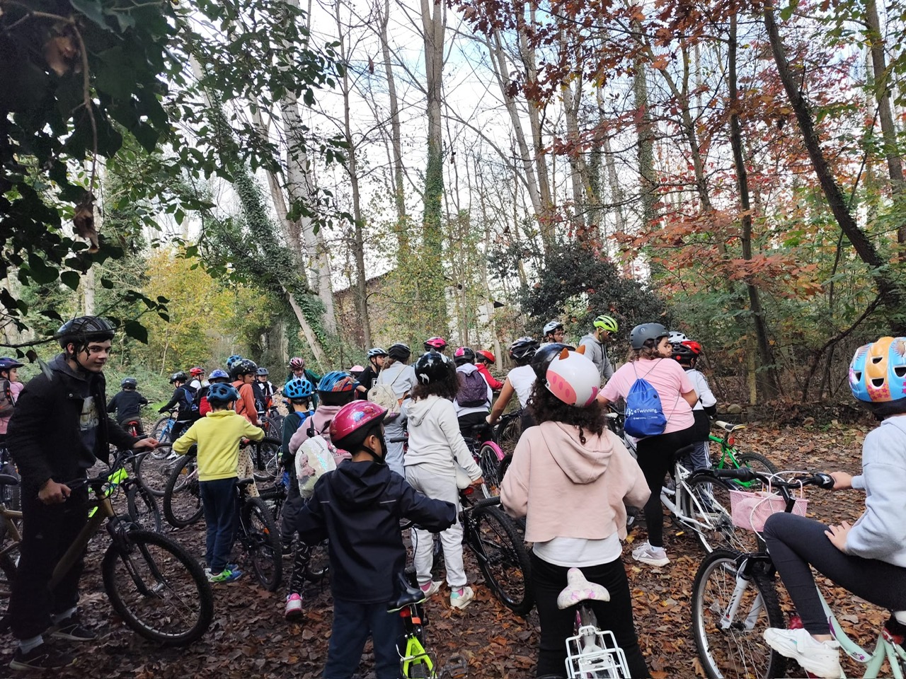 Más de 2.300 participantes en las jornadas de deporte escolar organizadas por la Diputación de León hasta final de año 1