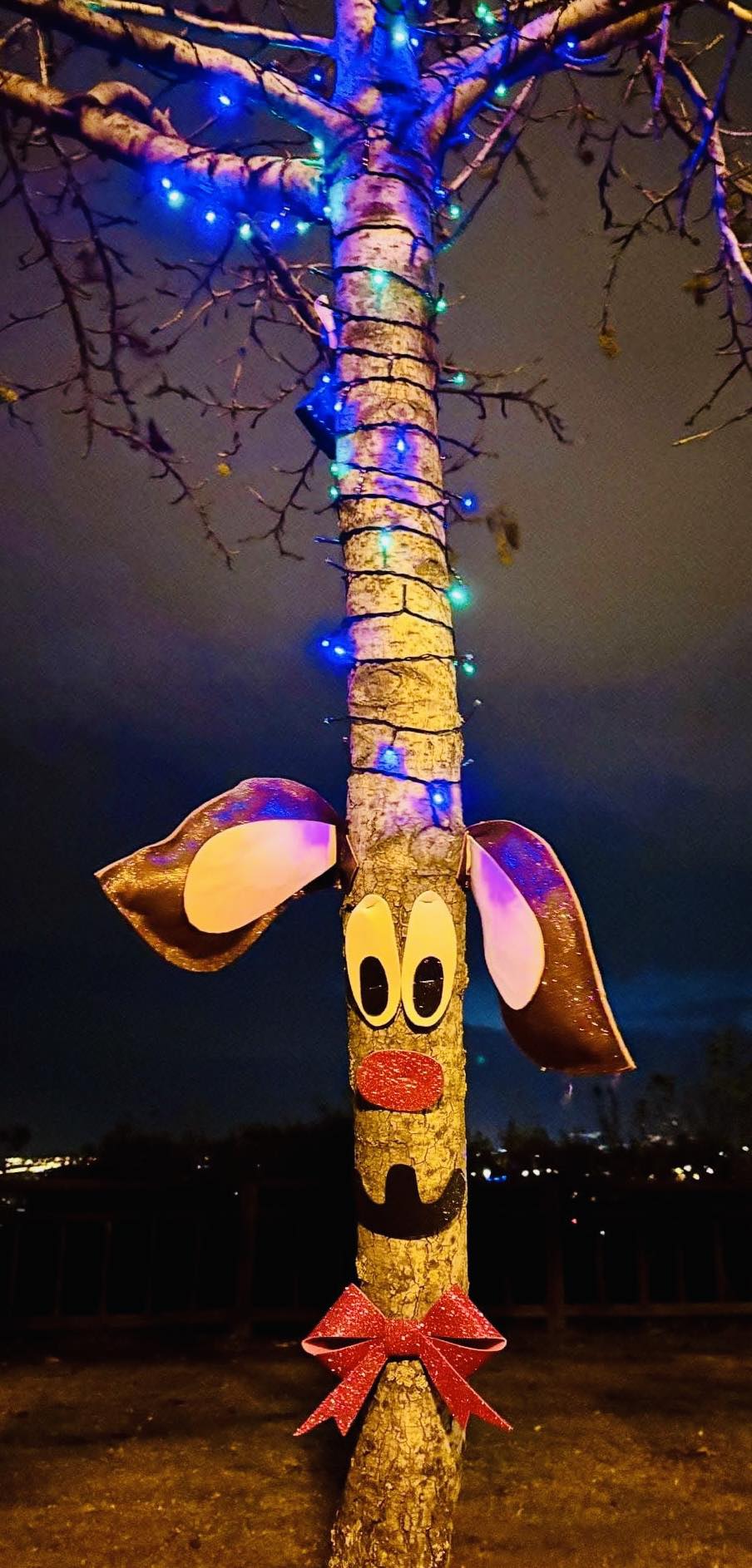 Santo Tomás de las Ollas celebra el encendido de su iluminación navideña 9