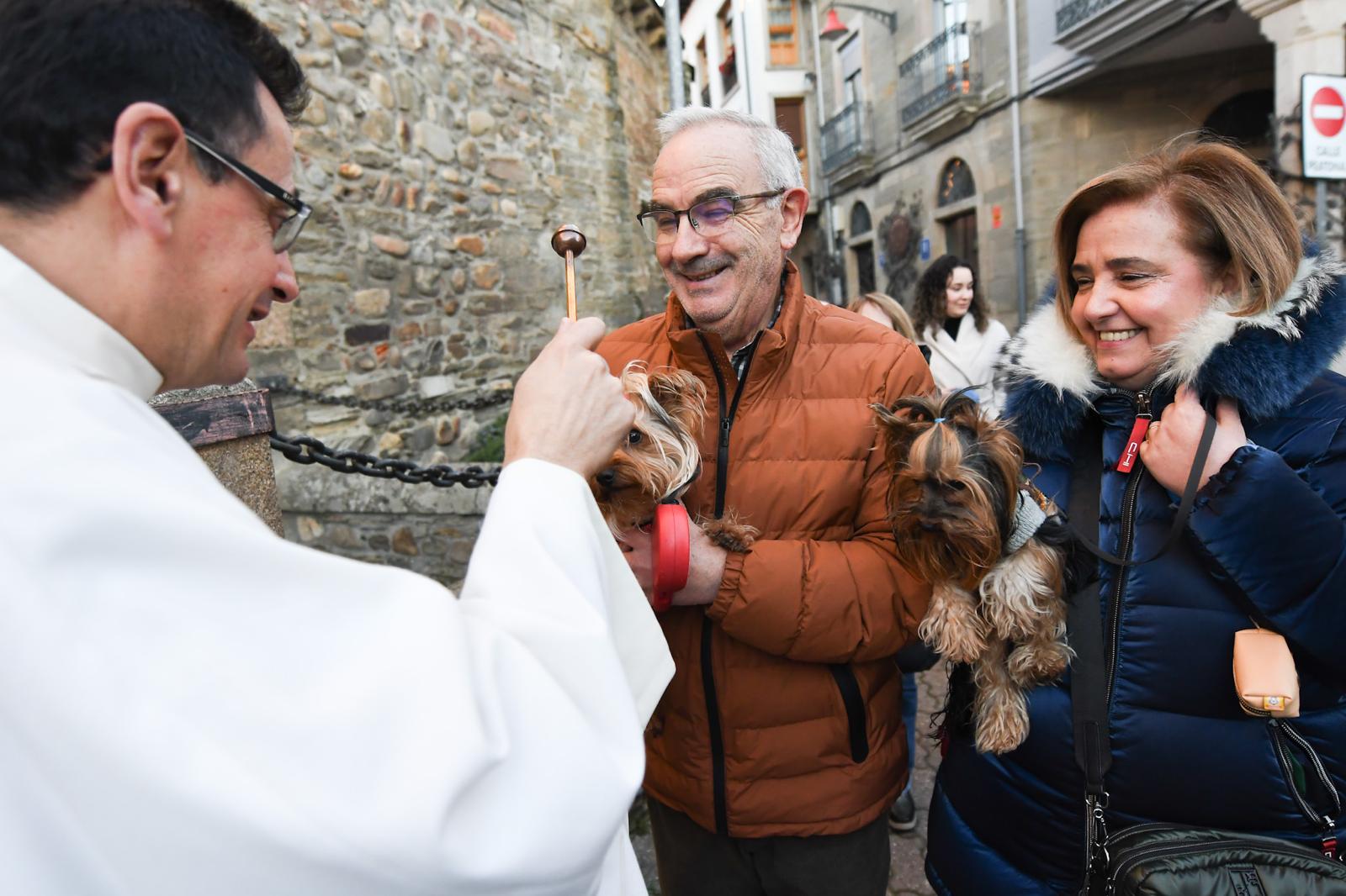 Cacabelos celebra la tradicional bendición de los animales 18