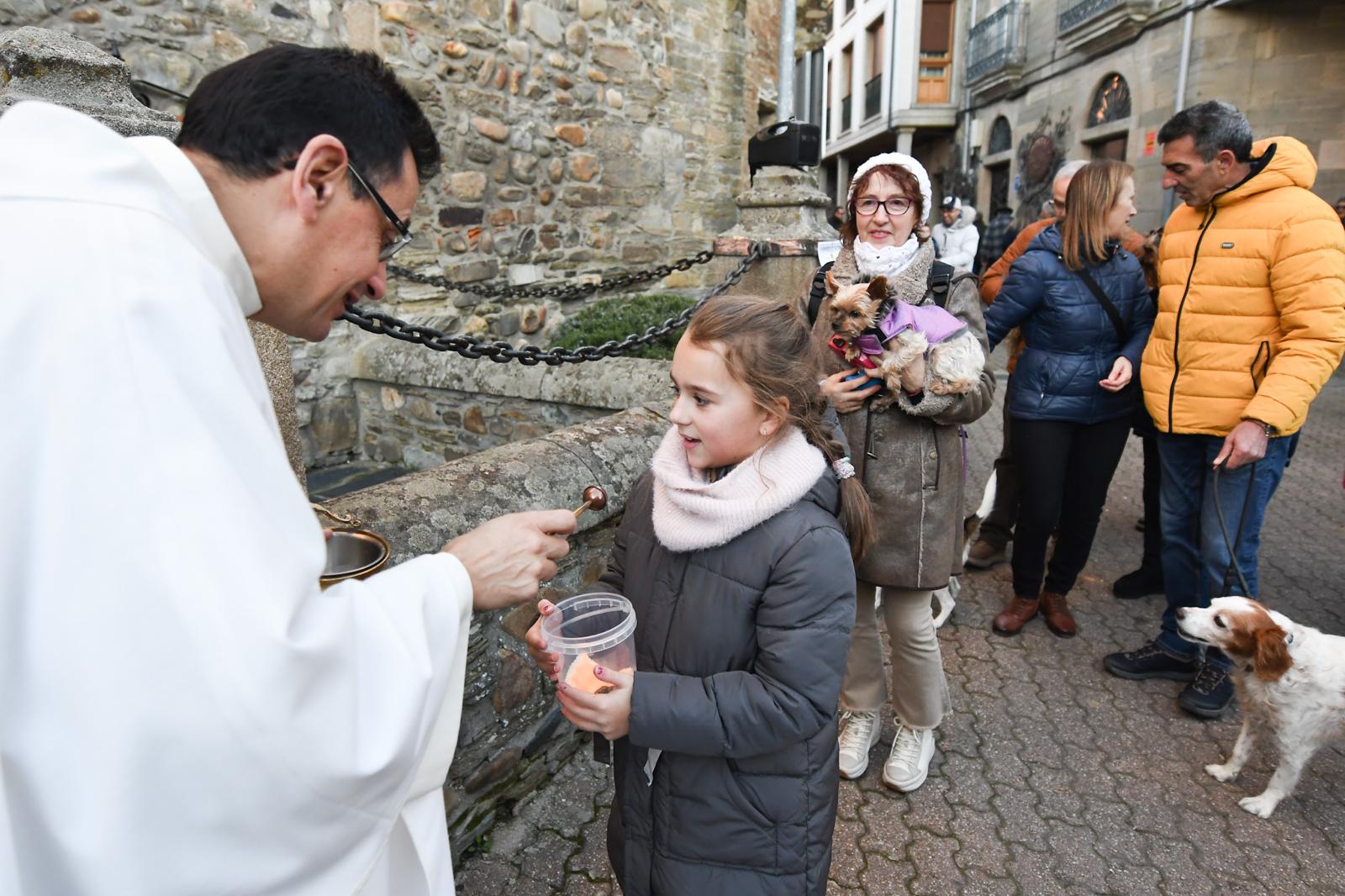 Cacabelos celebra la tradicional bendición de los animales 20