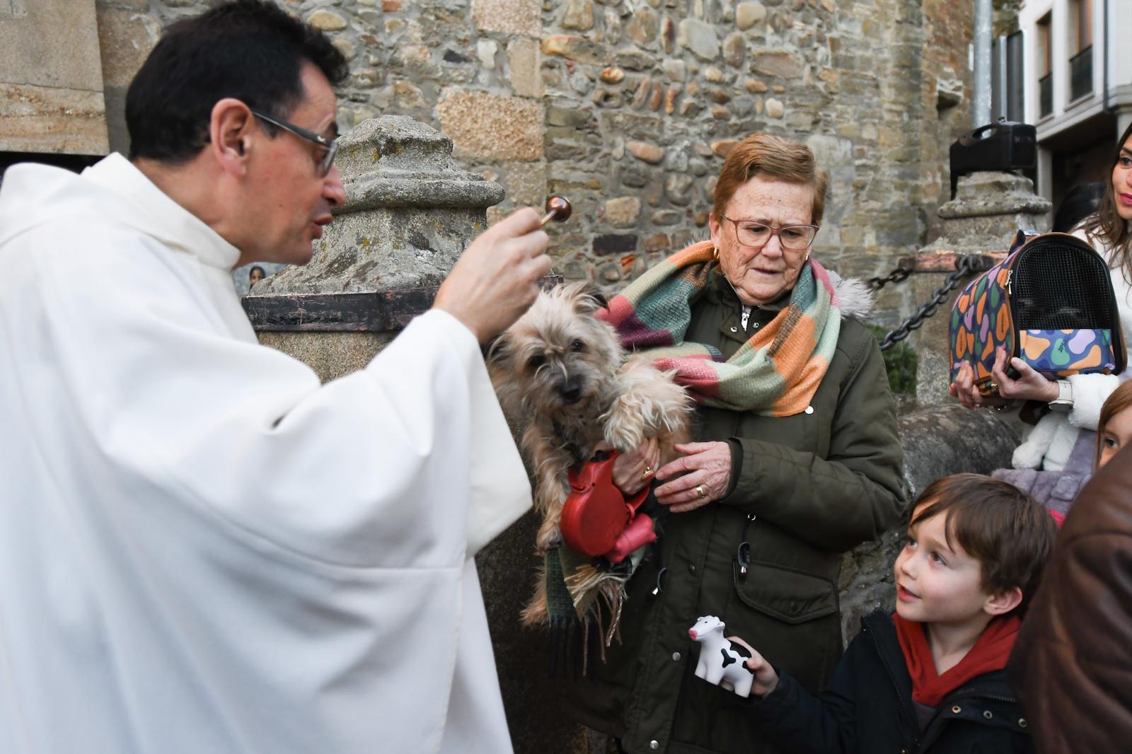 Cacabelos celebra la tradicional bendición de los animales 17