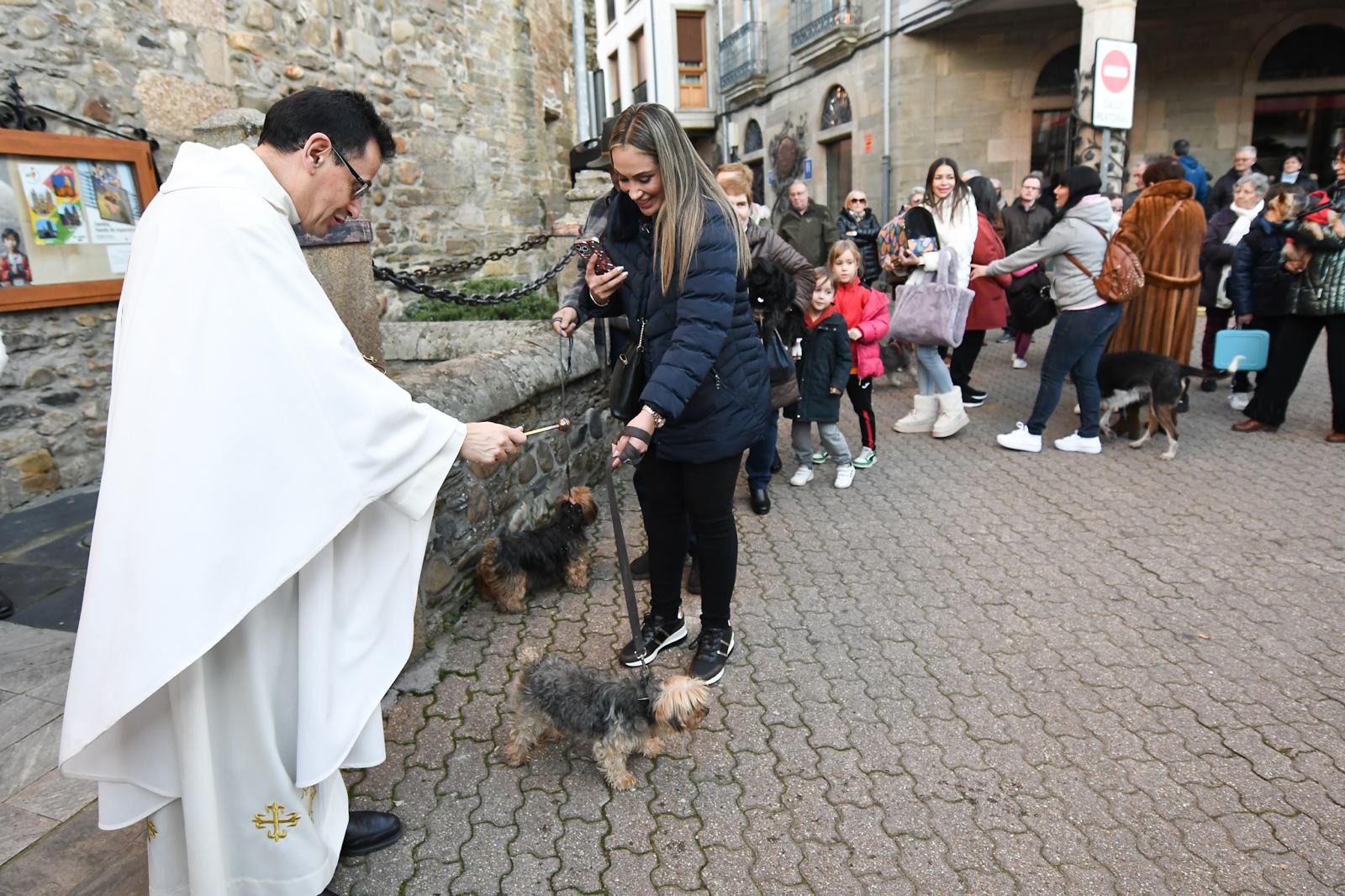 Cacabelos celebra la tradicional bendición de los animales 14