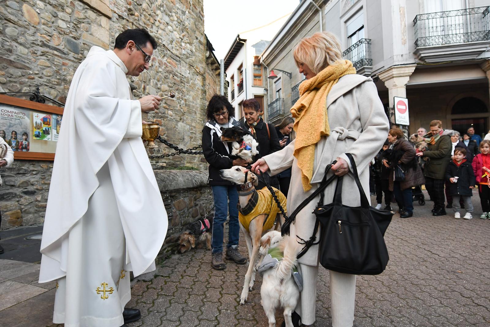 Cacabelos celebra la tradicional bendición de los animales 9