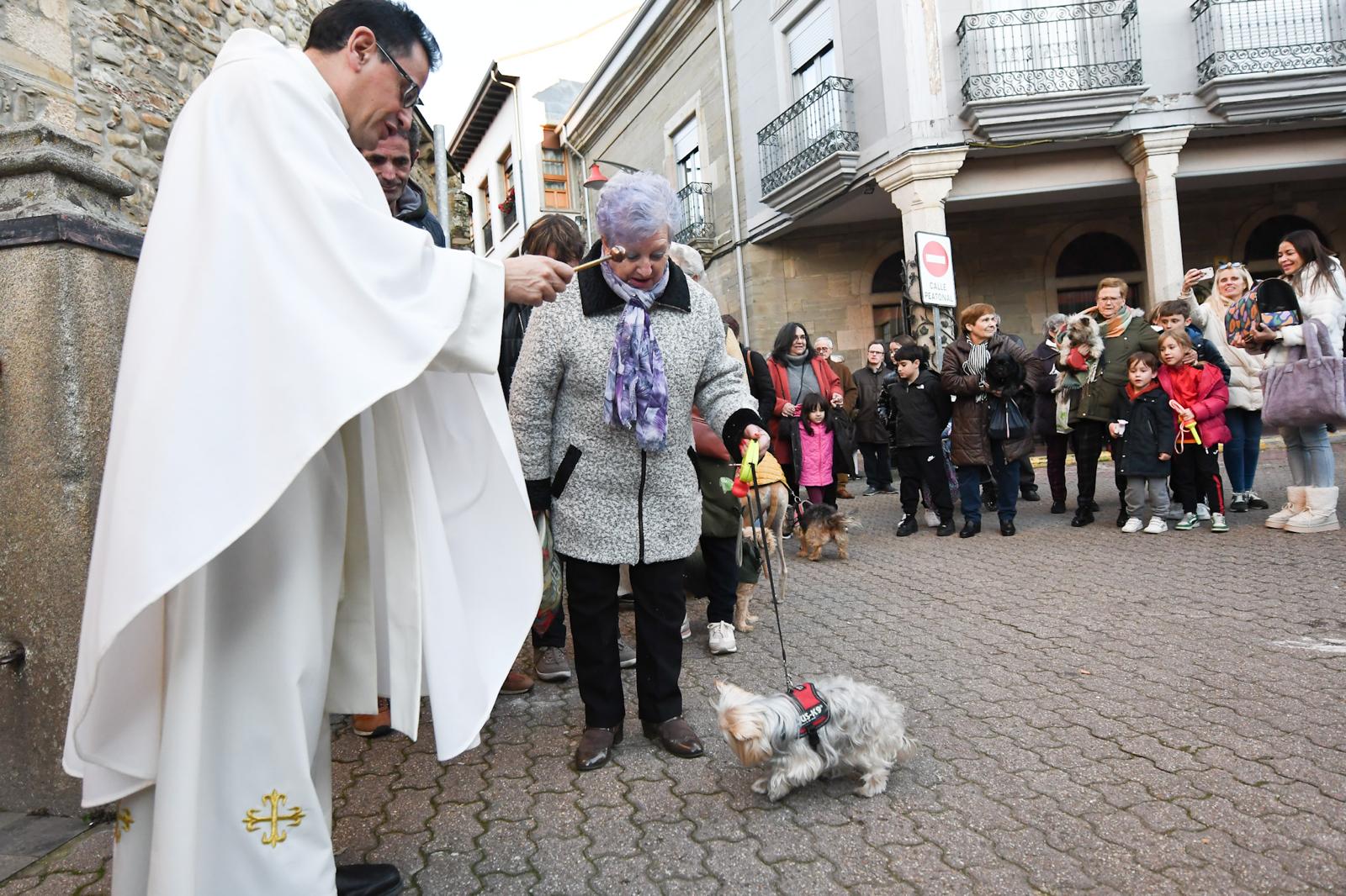 Cacabelos celebra la tradicional bendición de los animales 10