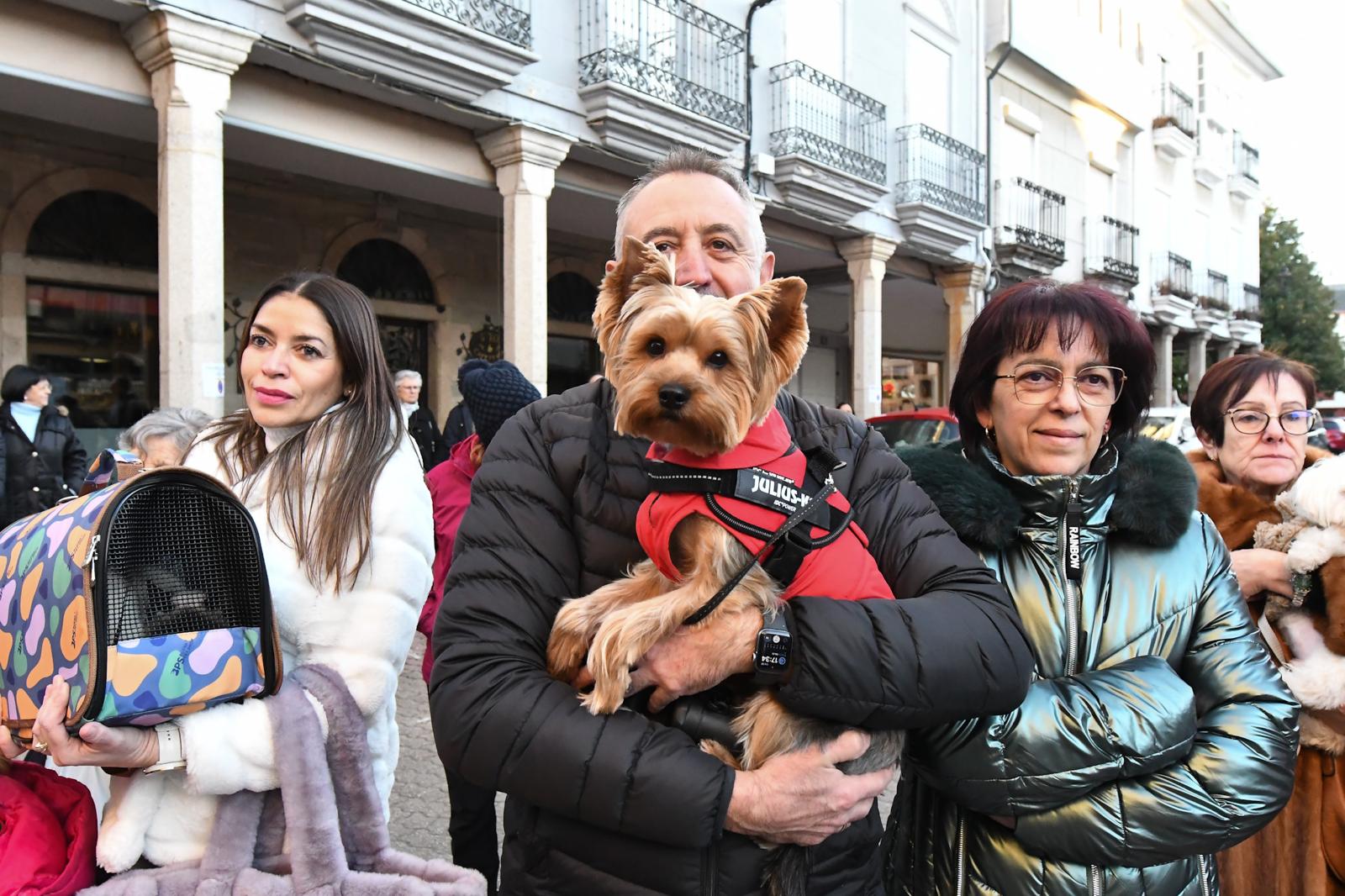 Cacabelos celebra la tradicional bendición de los animales 3