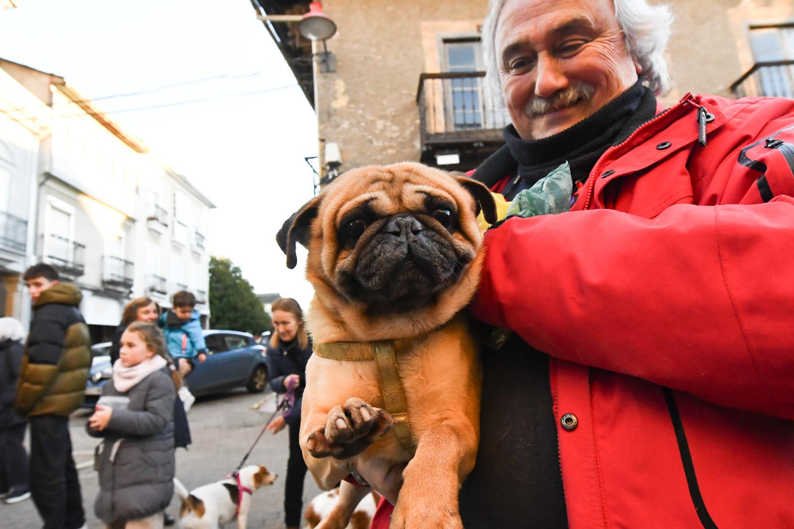 Cacabelos celebra la tradicional bendición de los animales 1