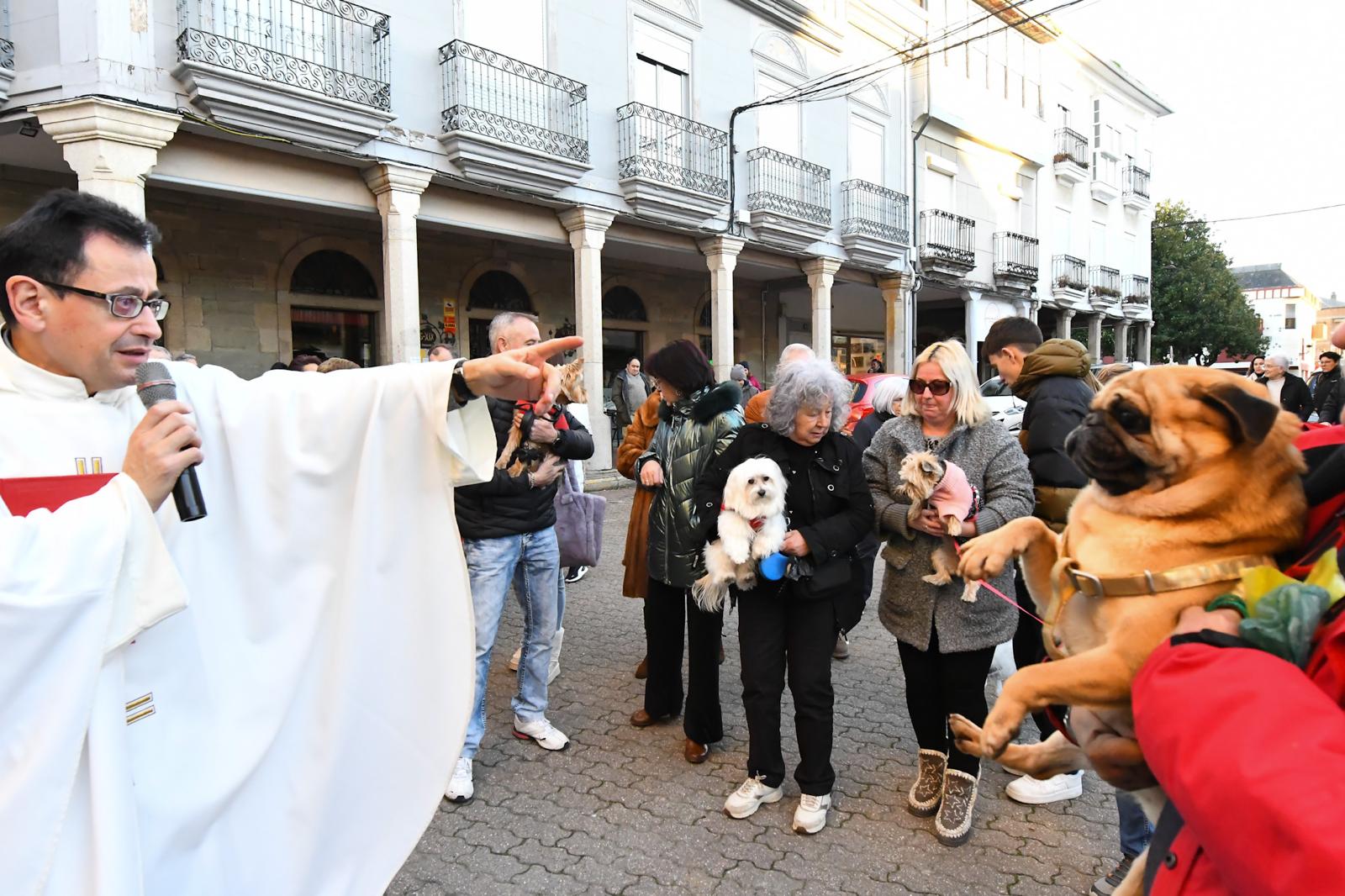 Cacabelos celebra la tradicional bendición de los animales 5