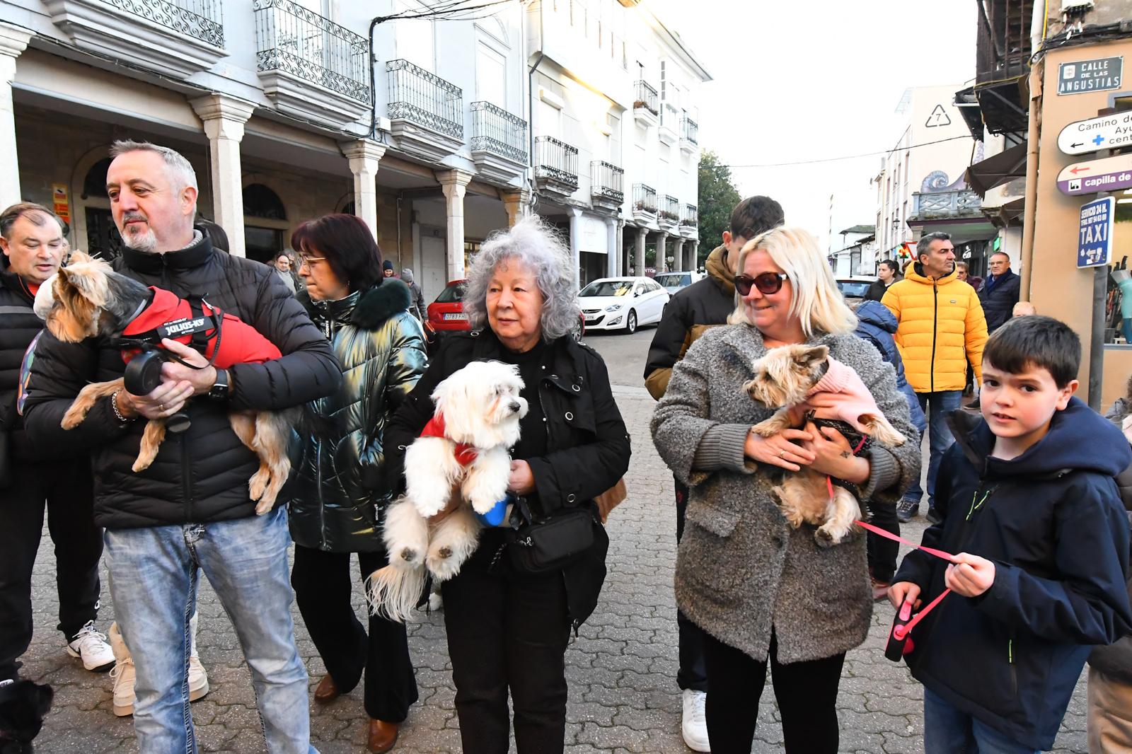 Cacabelos celebra la tradicional bendición de los animales 6