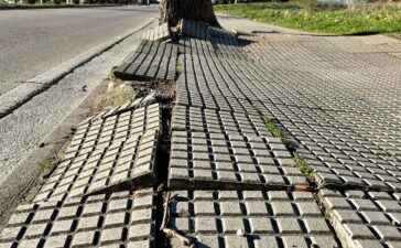 Las obras de sustitución de aceras en Avenida del Castillo modifican temporalmente una parada de bus 2