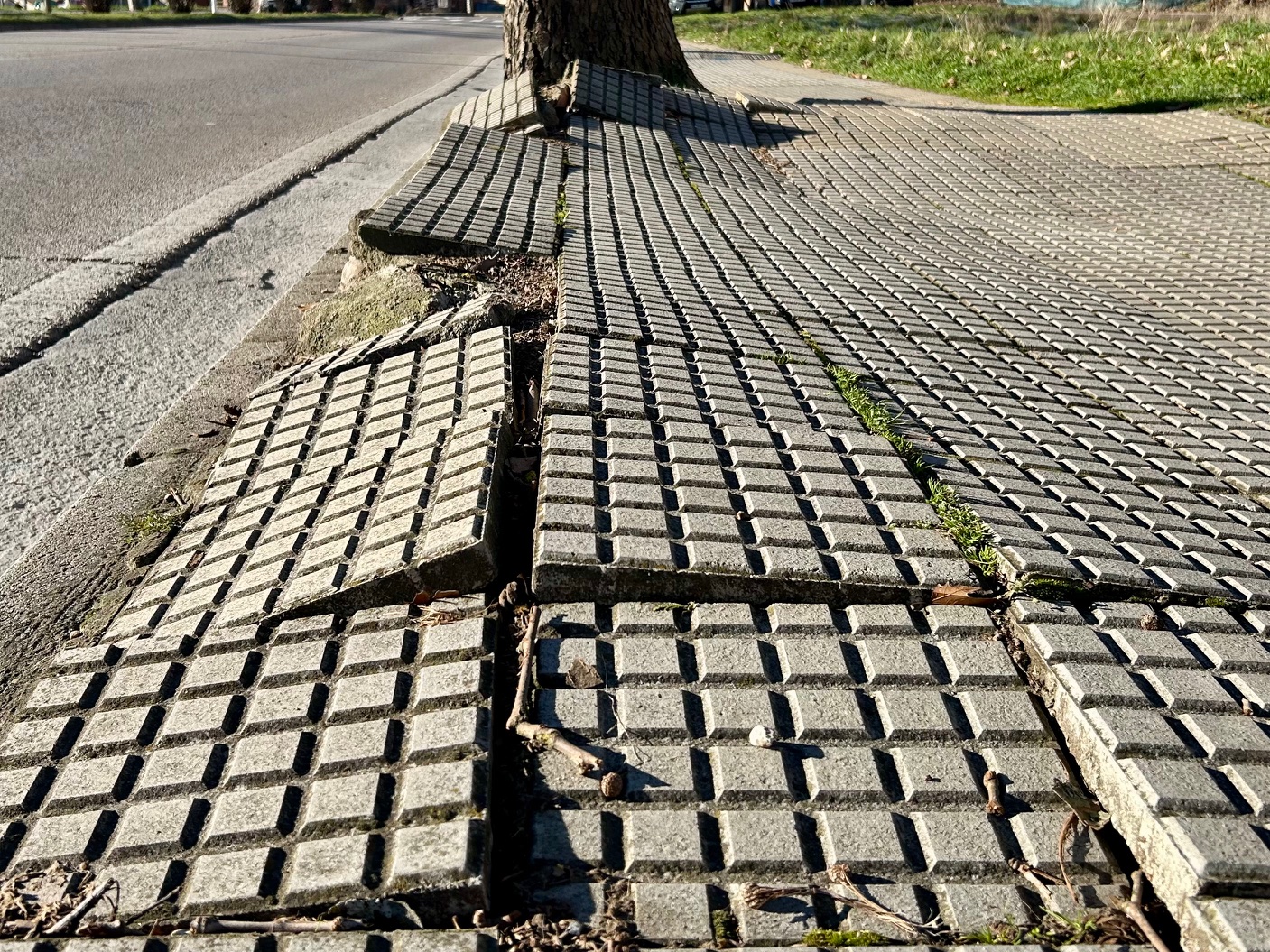 Las obras de sustitución de aceras en Avenida del Castillo modifican temporalmente una parada de bus 1