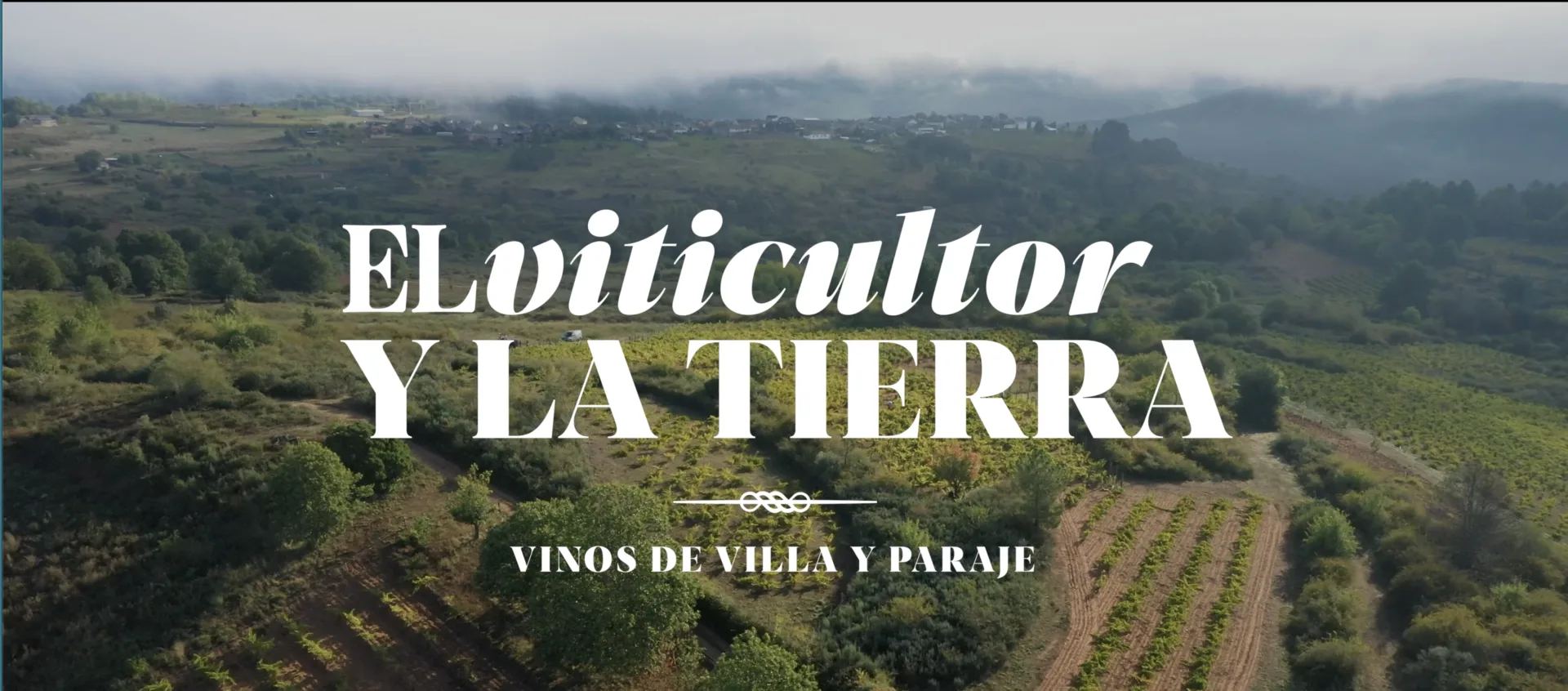 La D.O. Bierzo presenta su pirámide de clasificación con el estreno del documental “El Viticultor y la Tierra” en Filmin 1