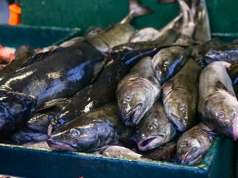 Fiesta del Bacalao, el barrio de Flores del Sil pone en marcha en febrero una comida popular 1