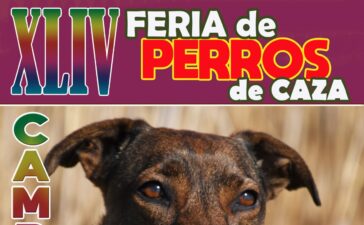 XLIV Feria de Perros de Caza en Camponaraya: Un encuentro para los amantes de la caza y la gastronomía 1