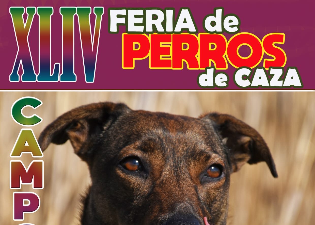 XLIV Feria de Perros de Caza en Camponaraya: Un encuentro para los amantes de la caza y la gastronomía 1