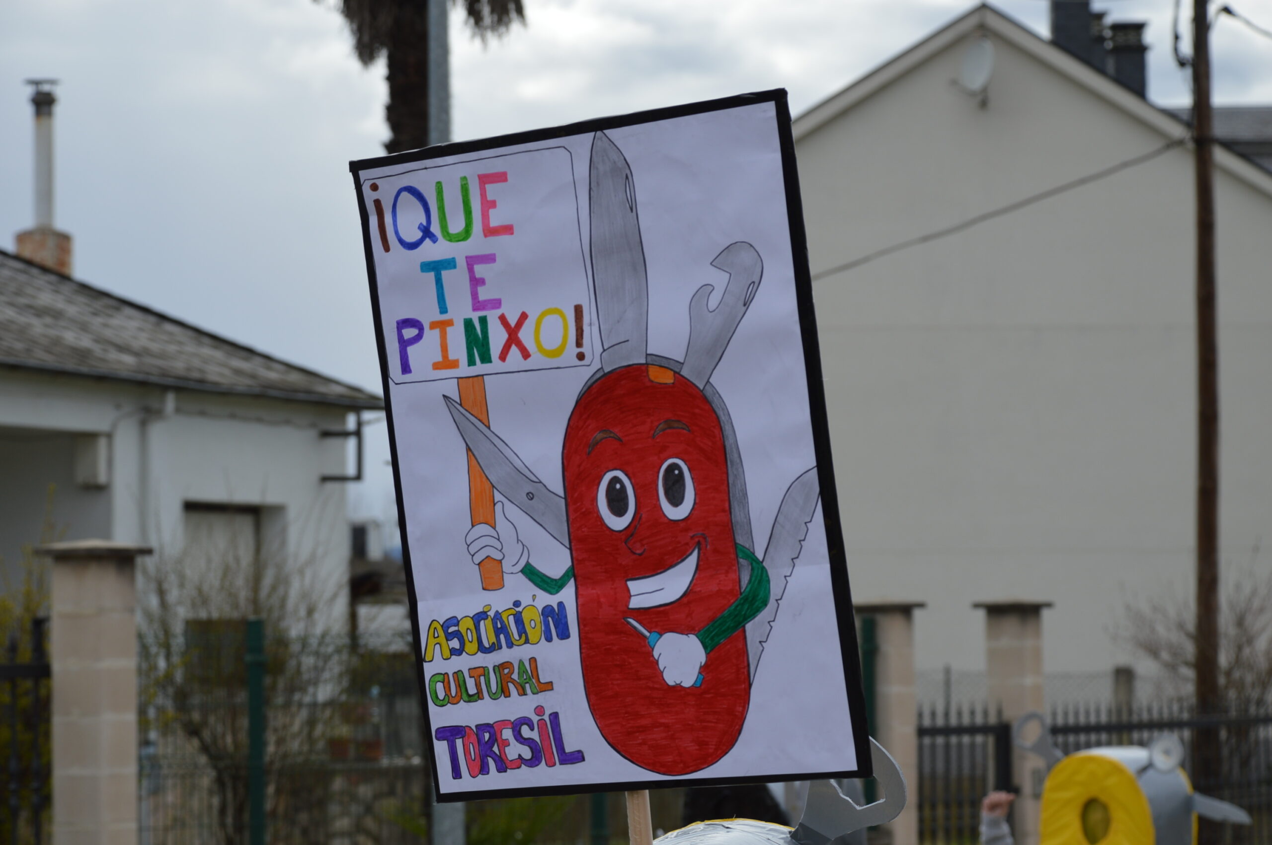 Carnaval 2025 en Cabañas Raras. Las ganas de disfrutar del desfile pueden con el frío 108