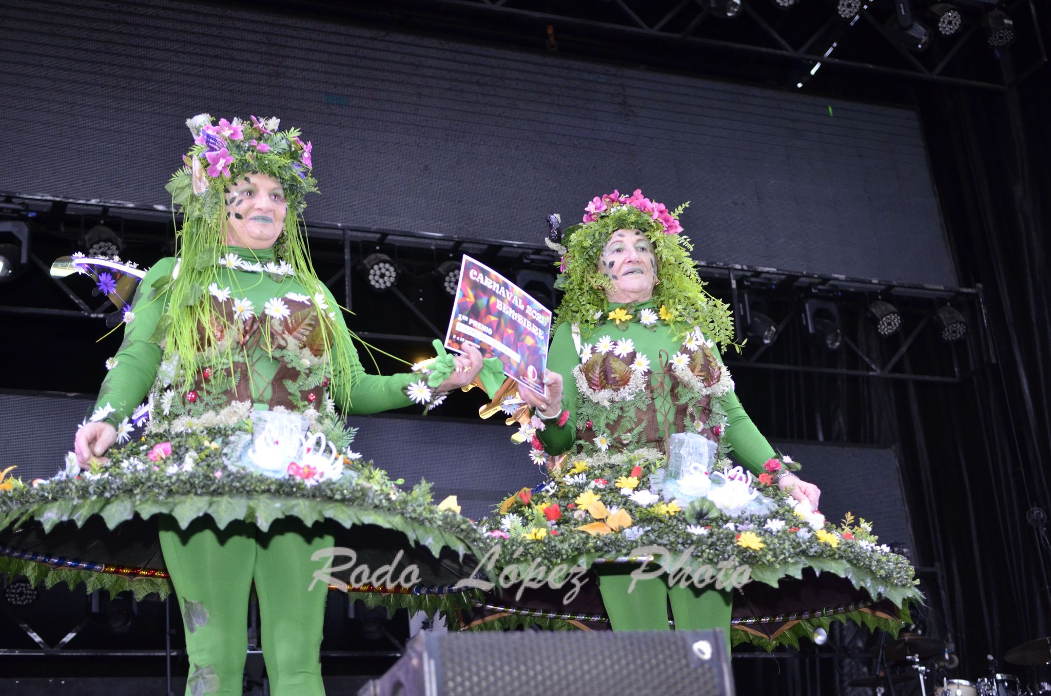 Las Calles de Bembibre se llenan de color en el Desfile de Carnaval 2025 23