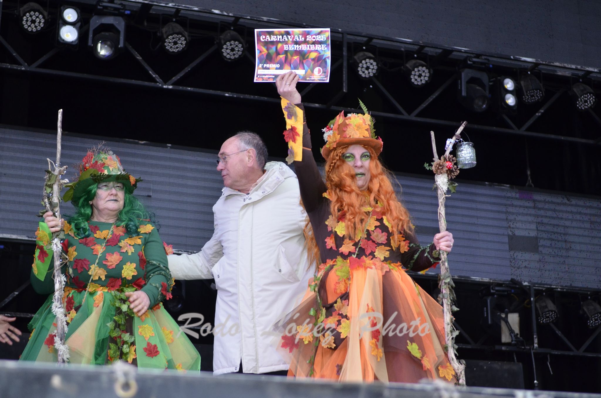 Las Calles de Bembibre se llenan de color en el Desfile de Carnaval 2025 30