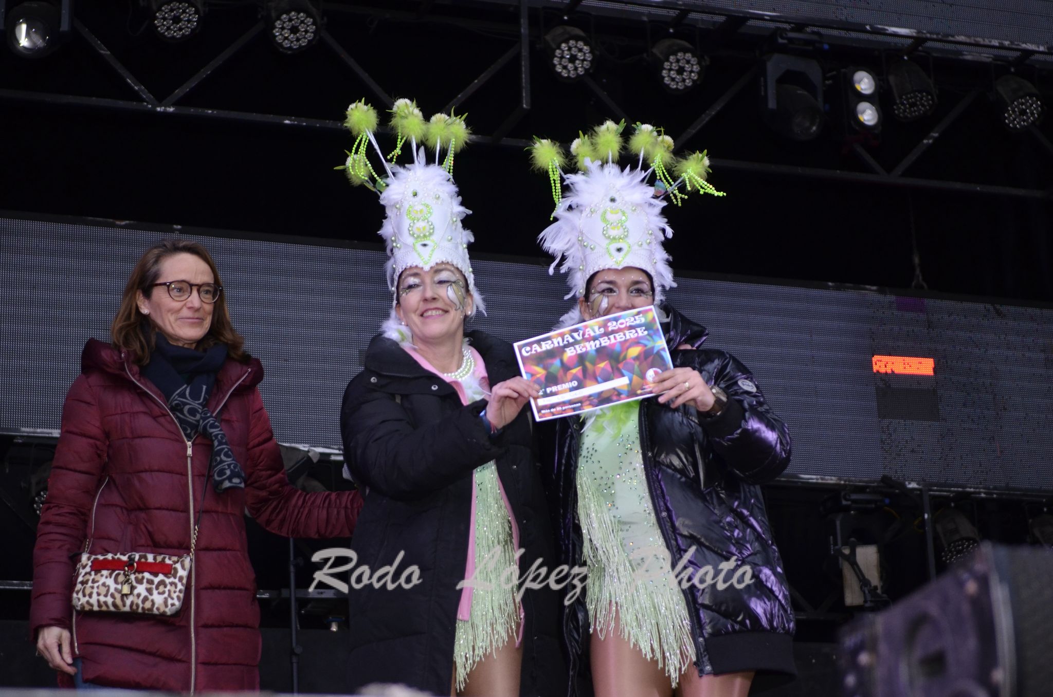 Las Calles de Bembibre se llenan de color en el Desfile de Carnaval 2025 6