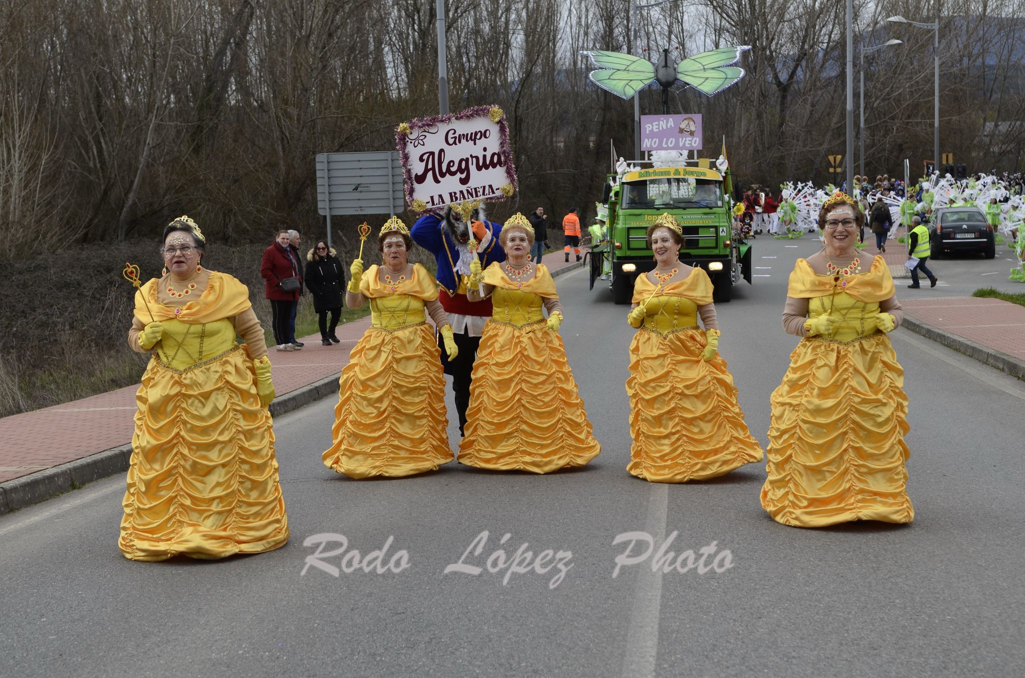 Las Calles de Bembibre se llenan de color en el Desfile de Carnaval 2025 70