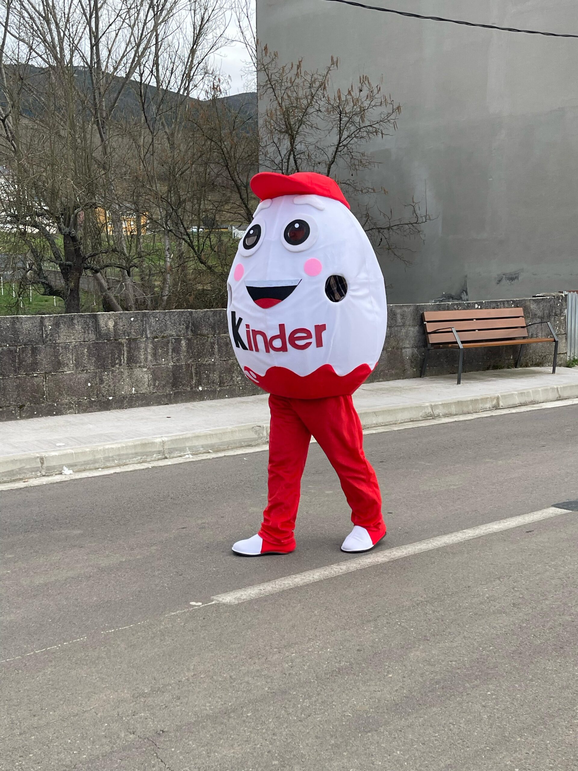 FOTOS | Vega de Espinareda disfruta de su colorido domingo de Carnaval 15