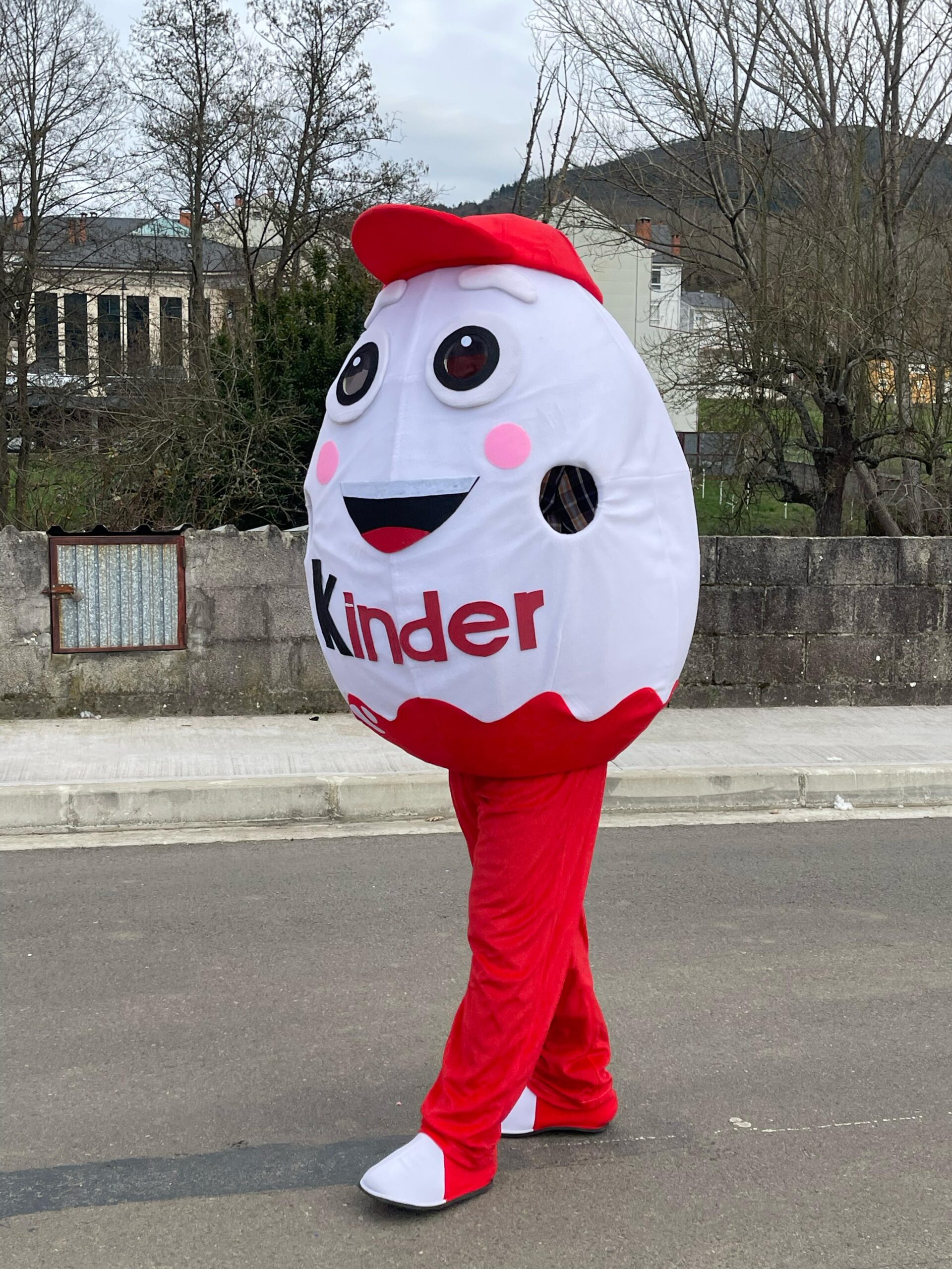 FOTOS | Vega de Espinareda disfruta de su colorido domingo de Carnaval 17