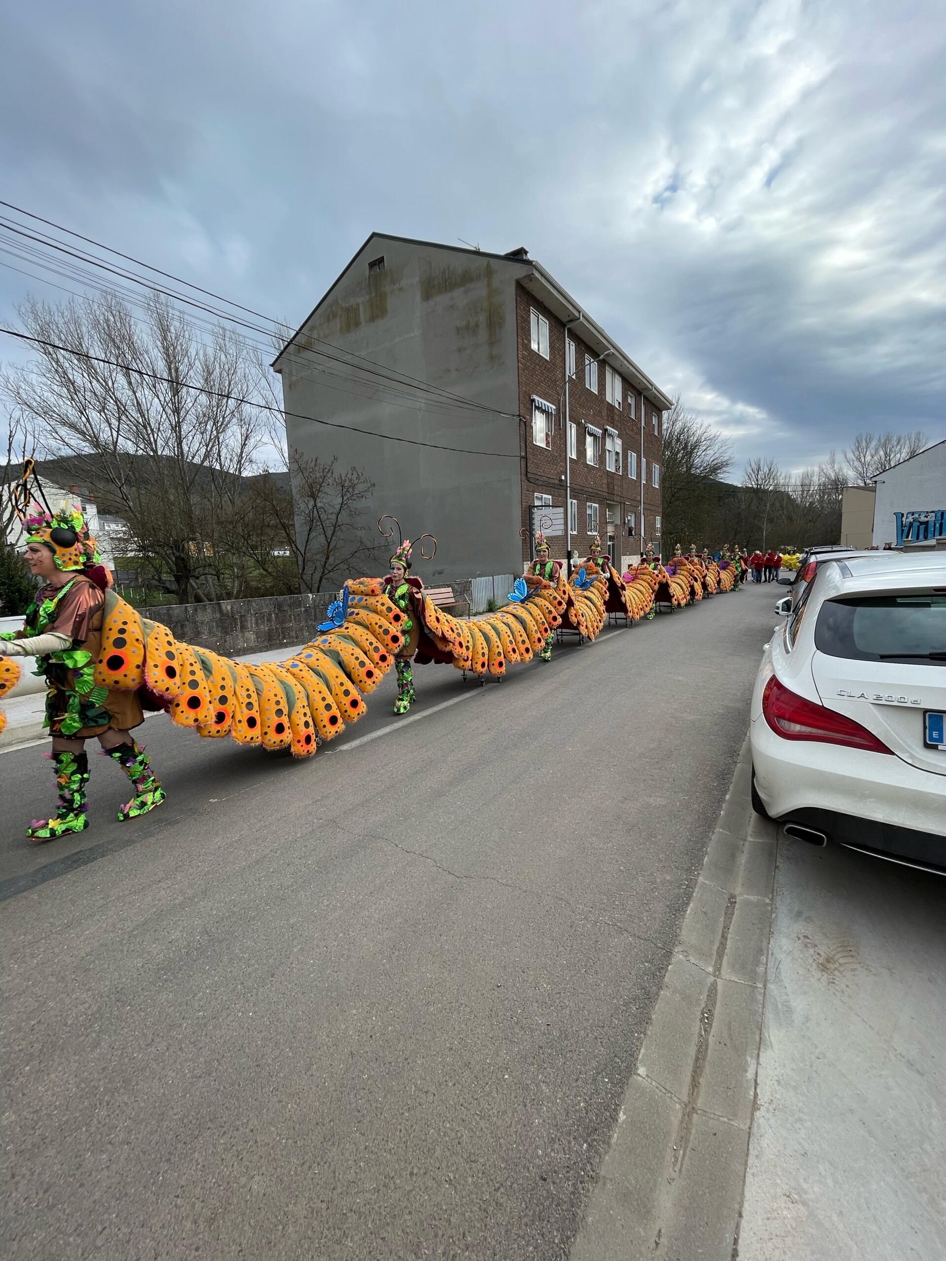 FOTOS | Vega de Espinareda disfruta de su colorido domingo de Carnaval 3