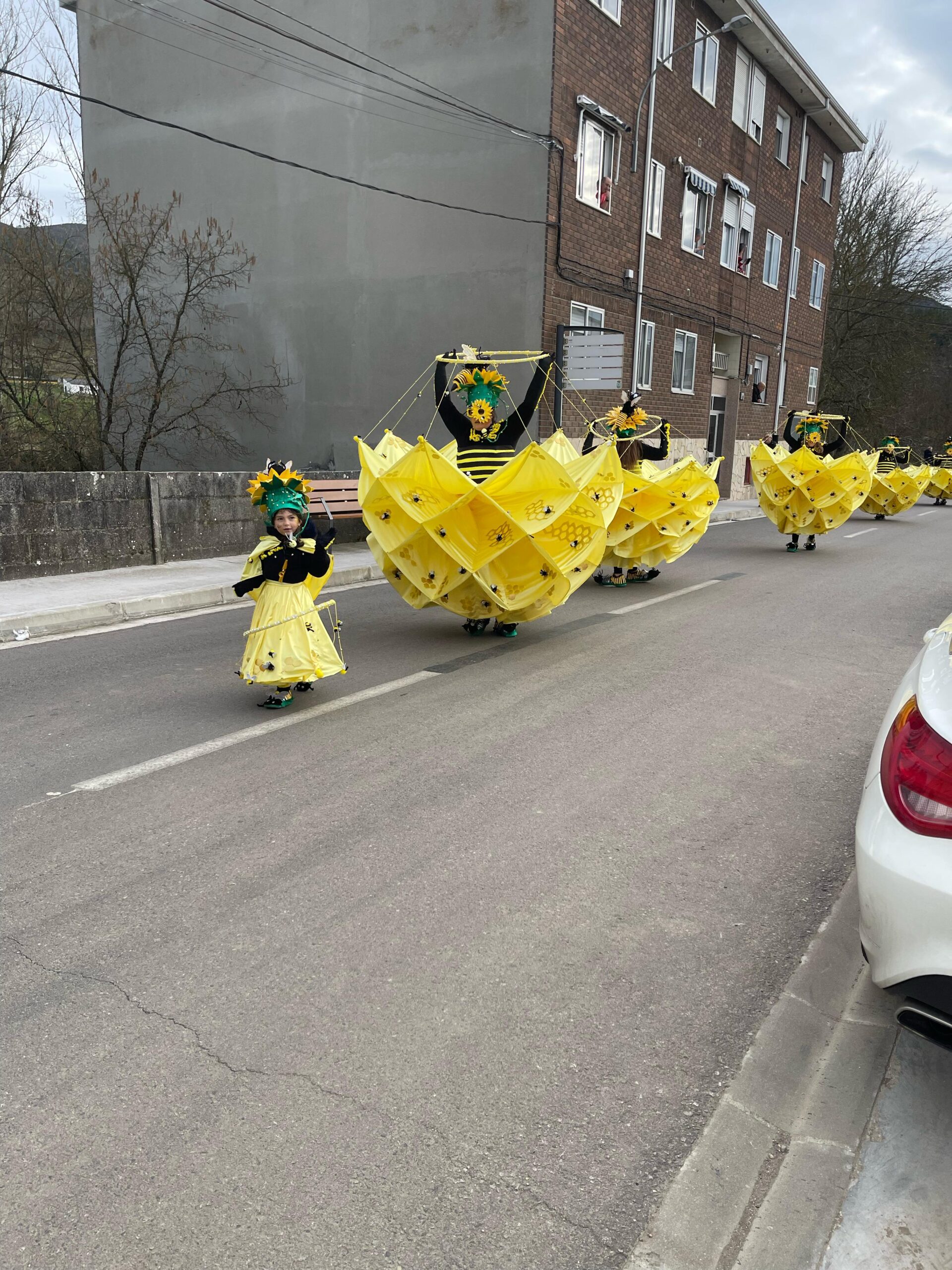 FOTOS | Vega de Espinareda disfruta de su colorido domingo de Carnaval 5