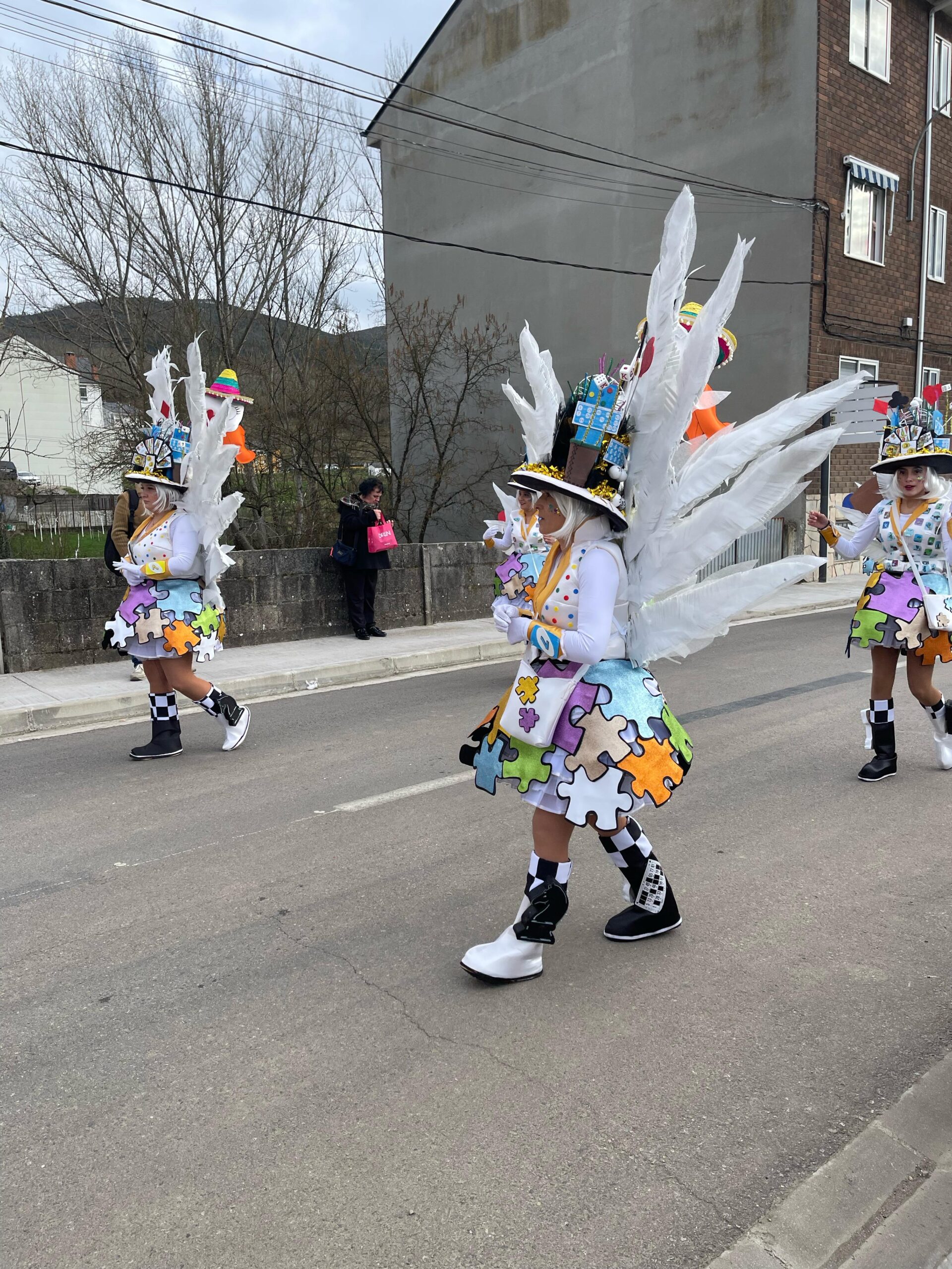 FOTOS | Vega de Espinareda disfruta de su colorido domingo de Carnaval 8