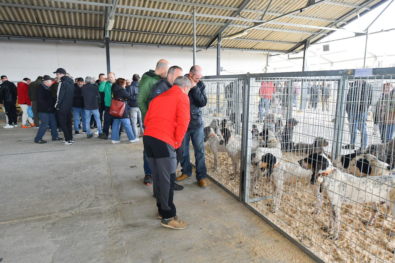 La XLIV Feria de perros de Caza de Camponaraya atrae a aficionados y cazadores durante el fin de semana 22