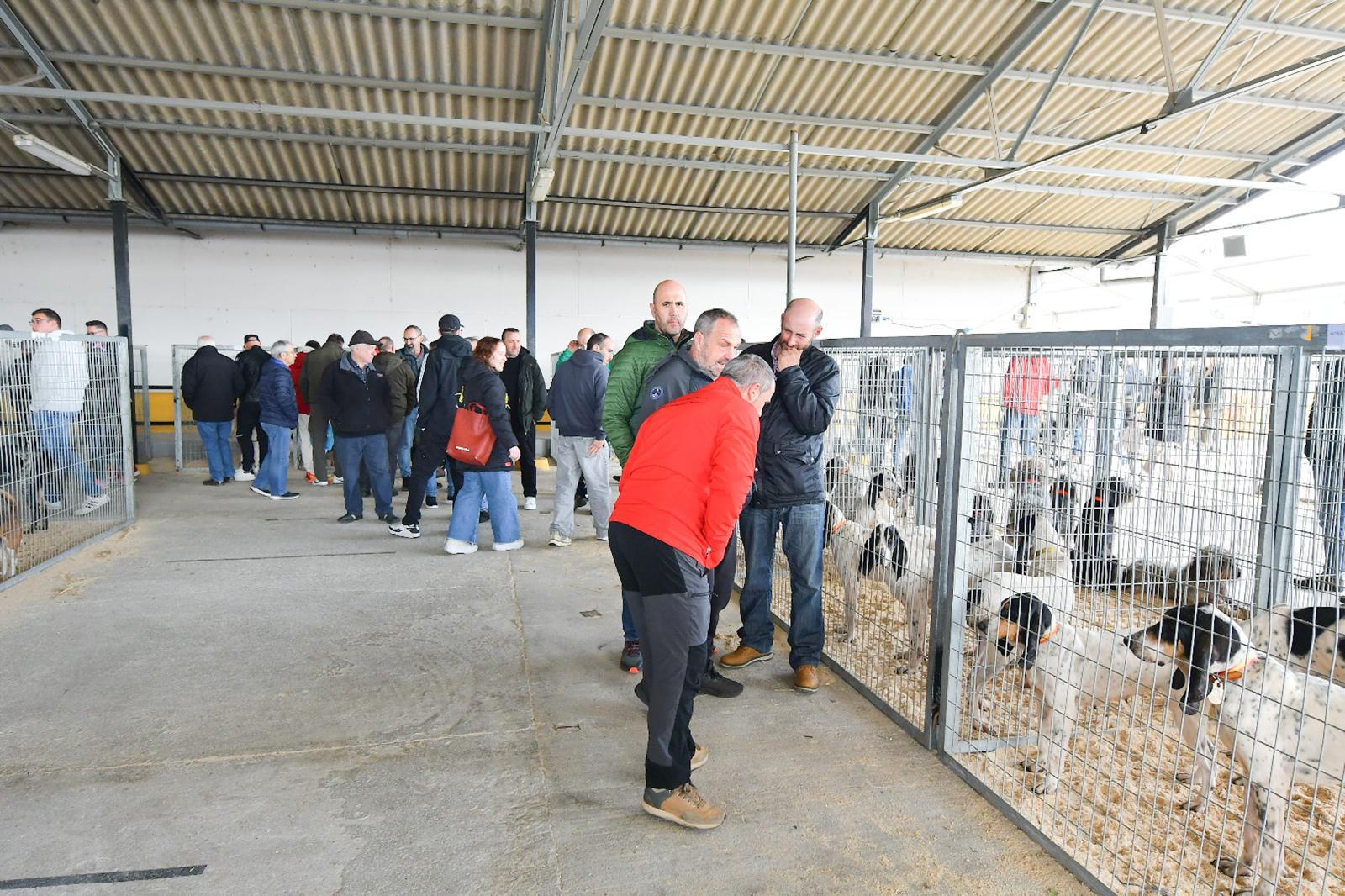 La XLIV Feria de perros de Caza de Camponaraya atrae a aficionados y cazadores durante el fin de semana 23