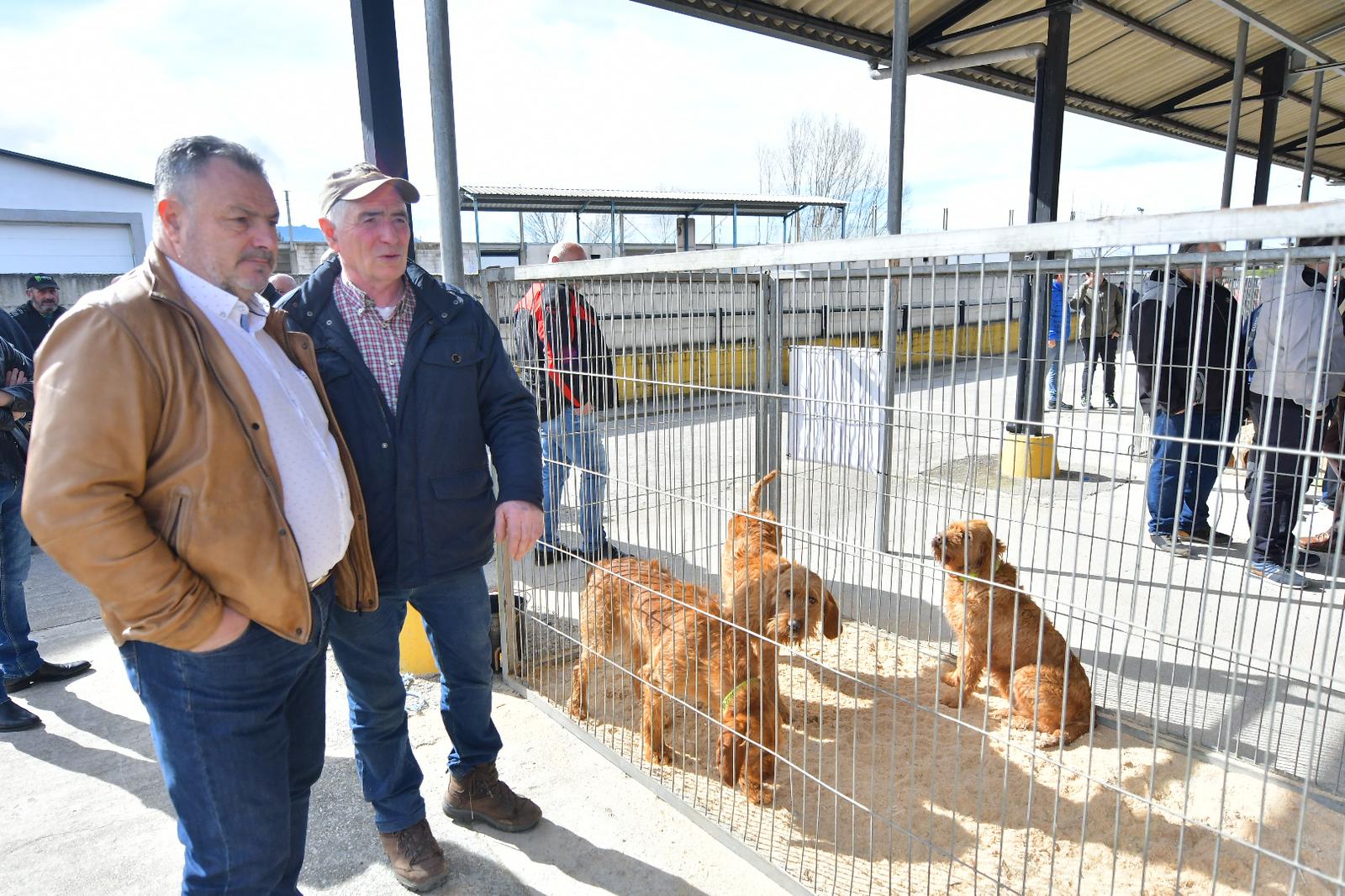 La XLIV Feria de perros de Caza de Camponaraya atrae a aficionados y cazadores durante el fin de semana 35