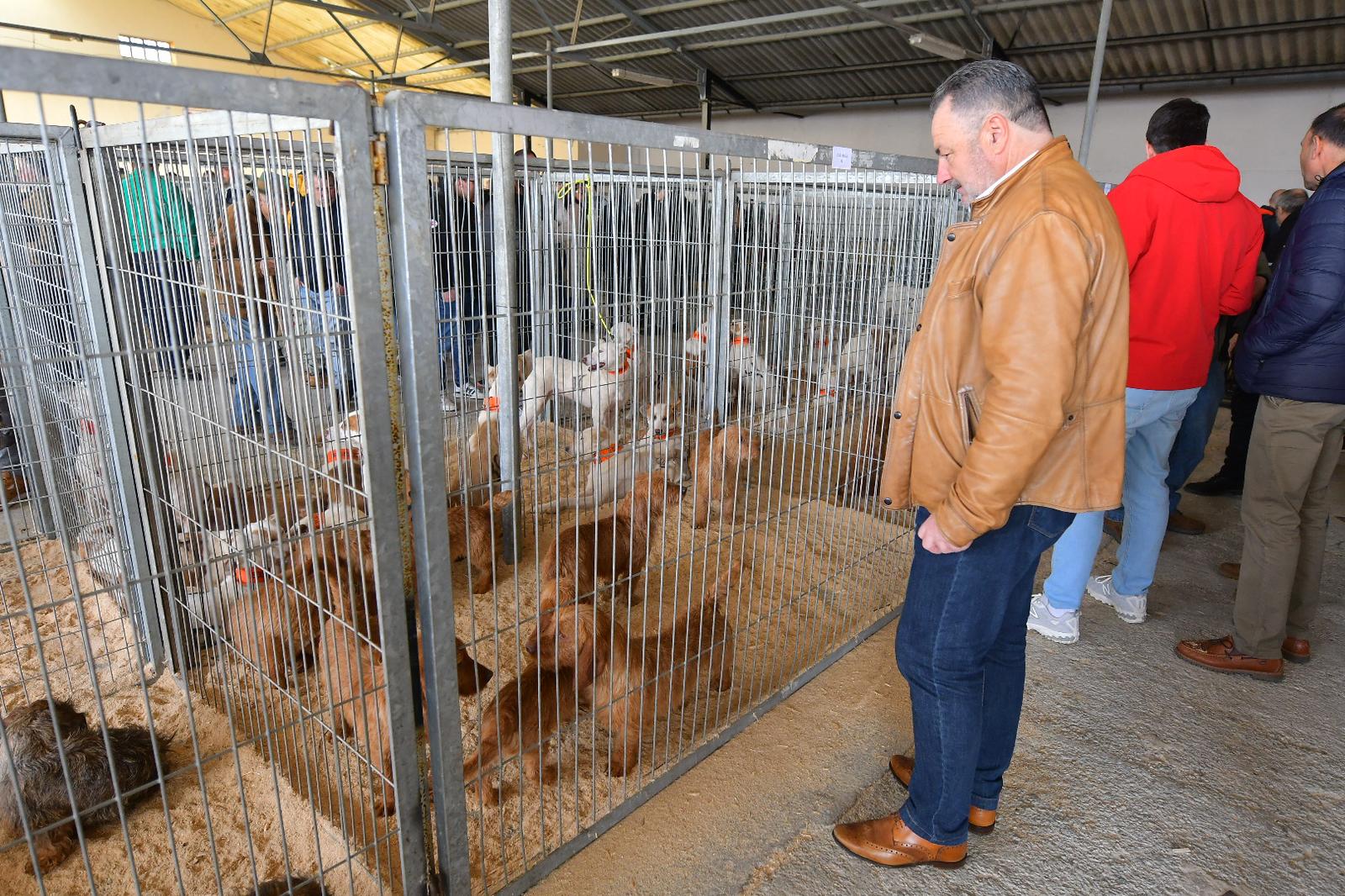 La XLIV Feria de perros de Caza de Camponaraya atrae a aficionados y cazadores durante el fin de semana 36