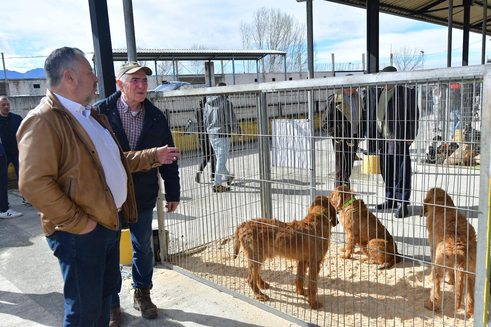 La XLIV Feria de perros de Caza de Camponaraya atrae a aficionados y cazadores durante el fin de semana 37